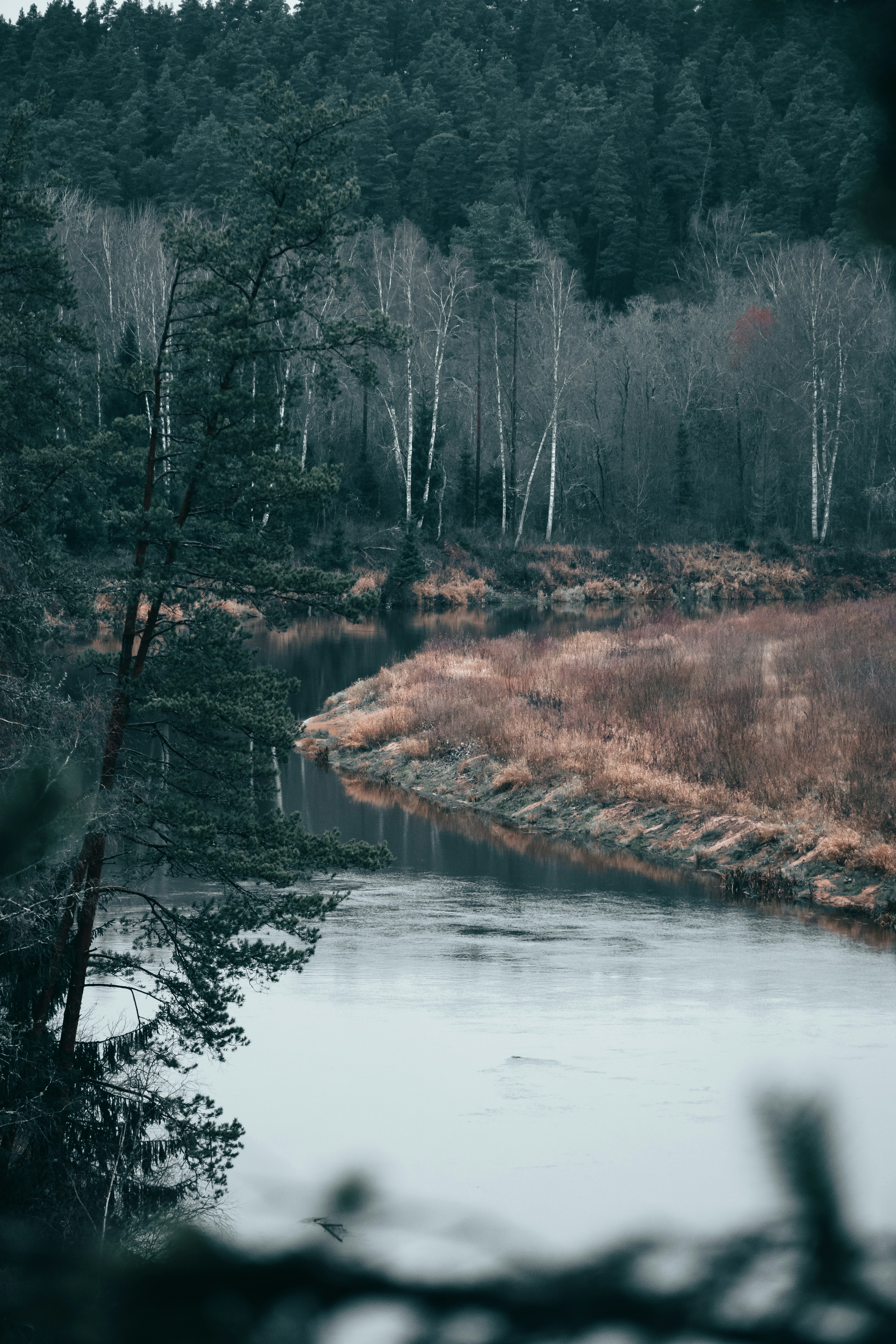 Photo by christina_kozak