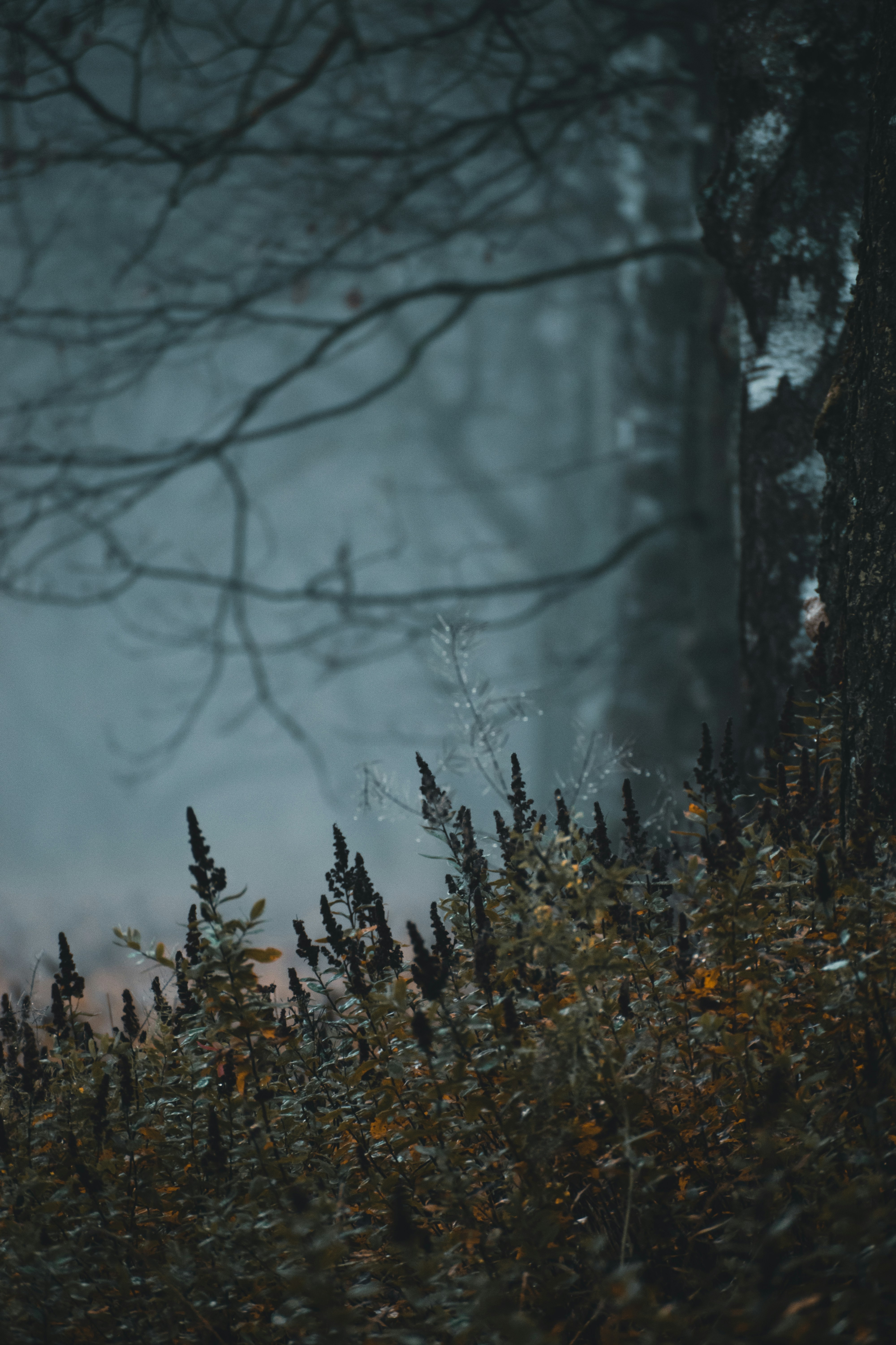 Photo by christina_kozak