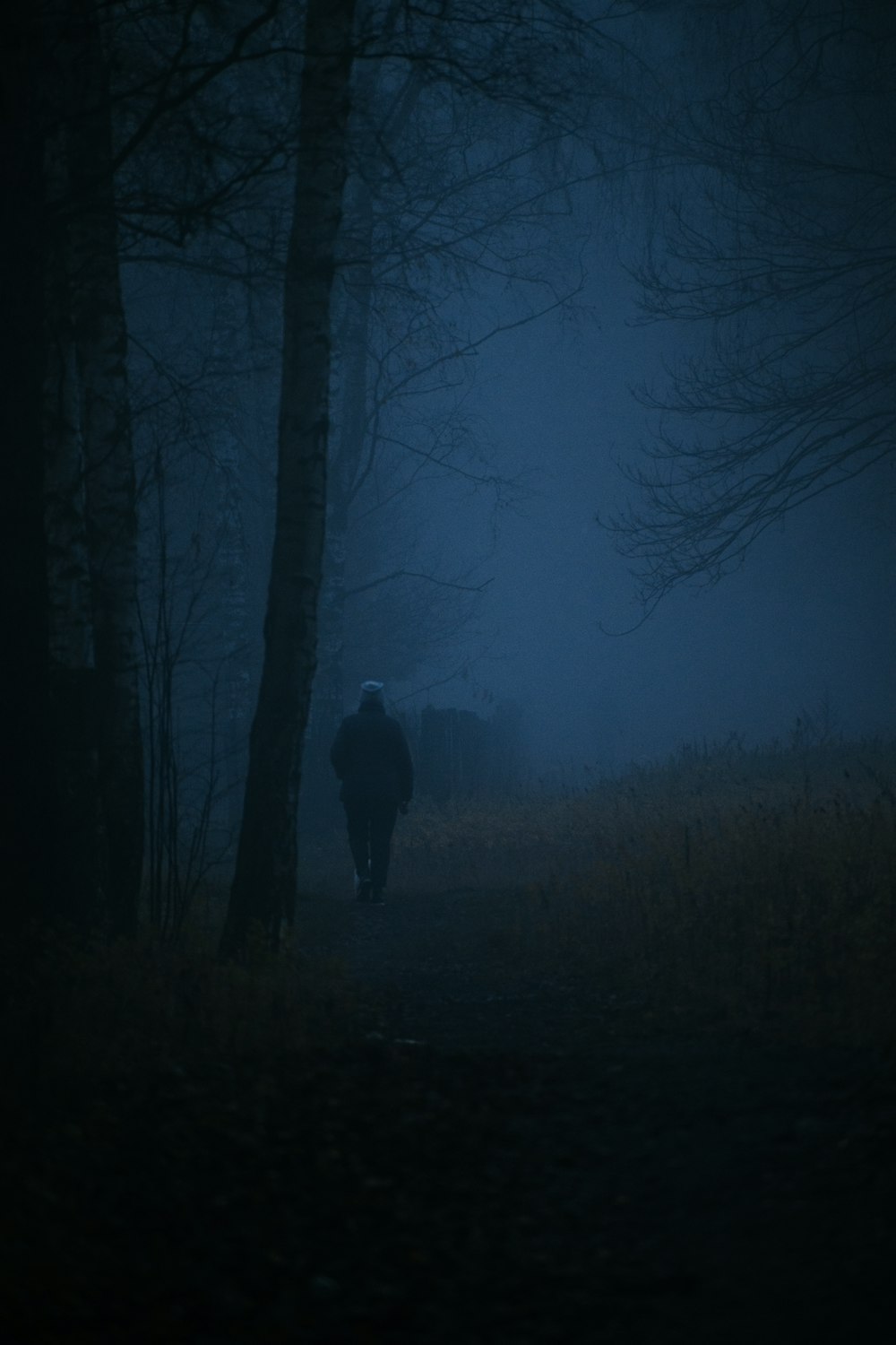 a person walking in a foggy forest