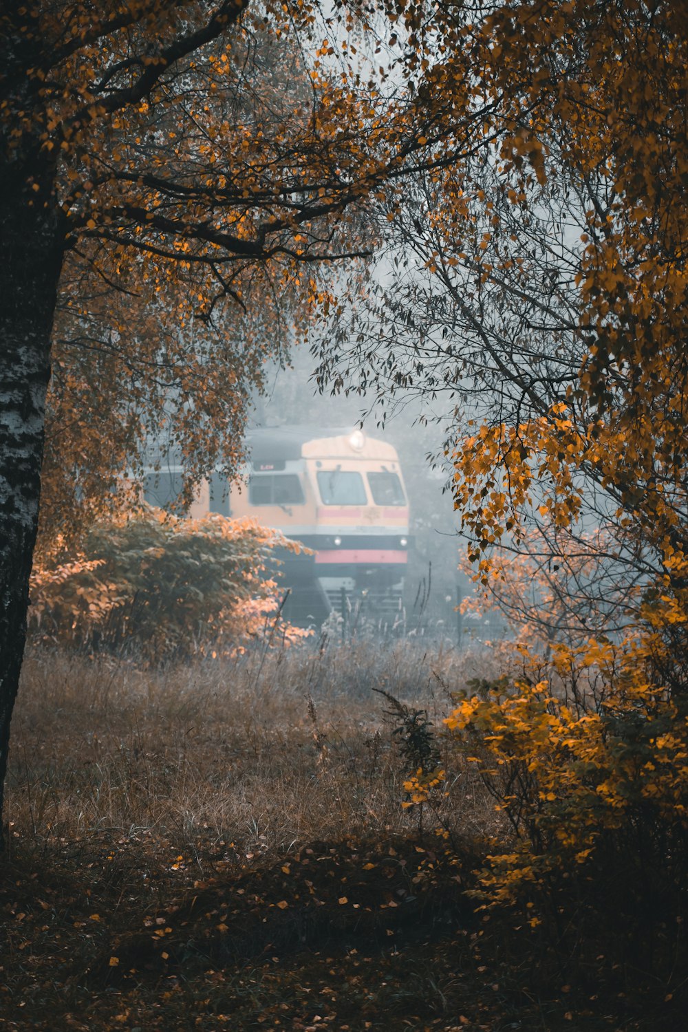 a fire truck parked in a forest