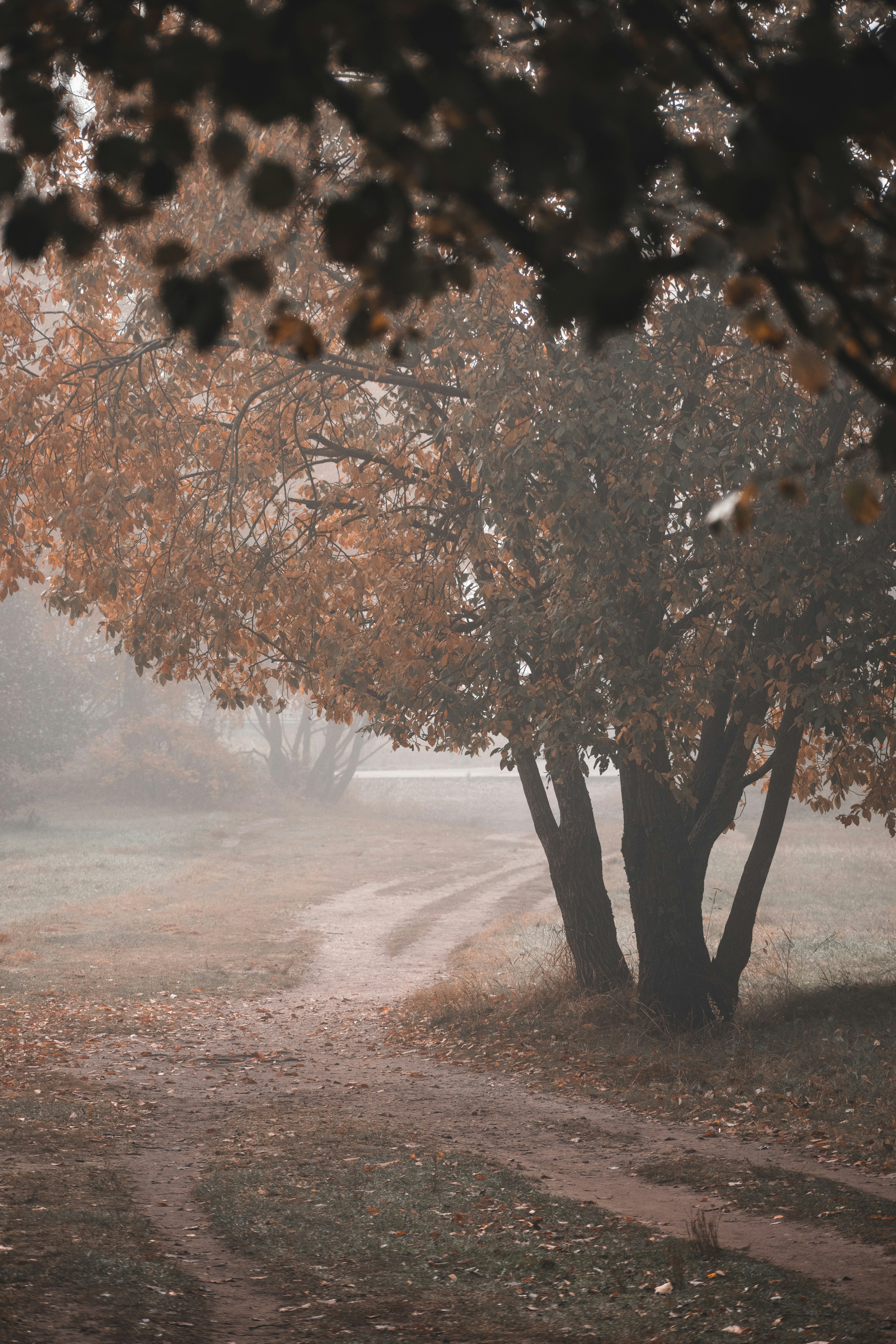 Photo by christina_kozak