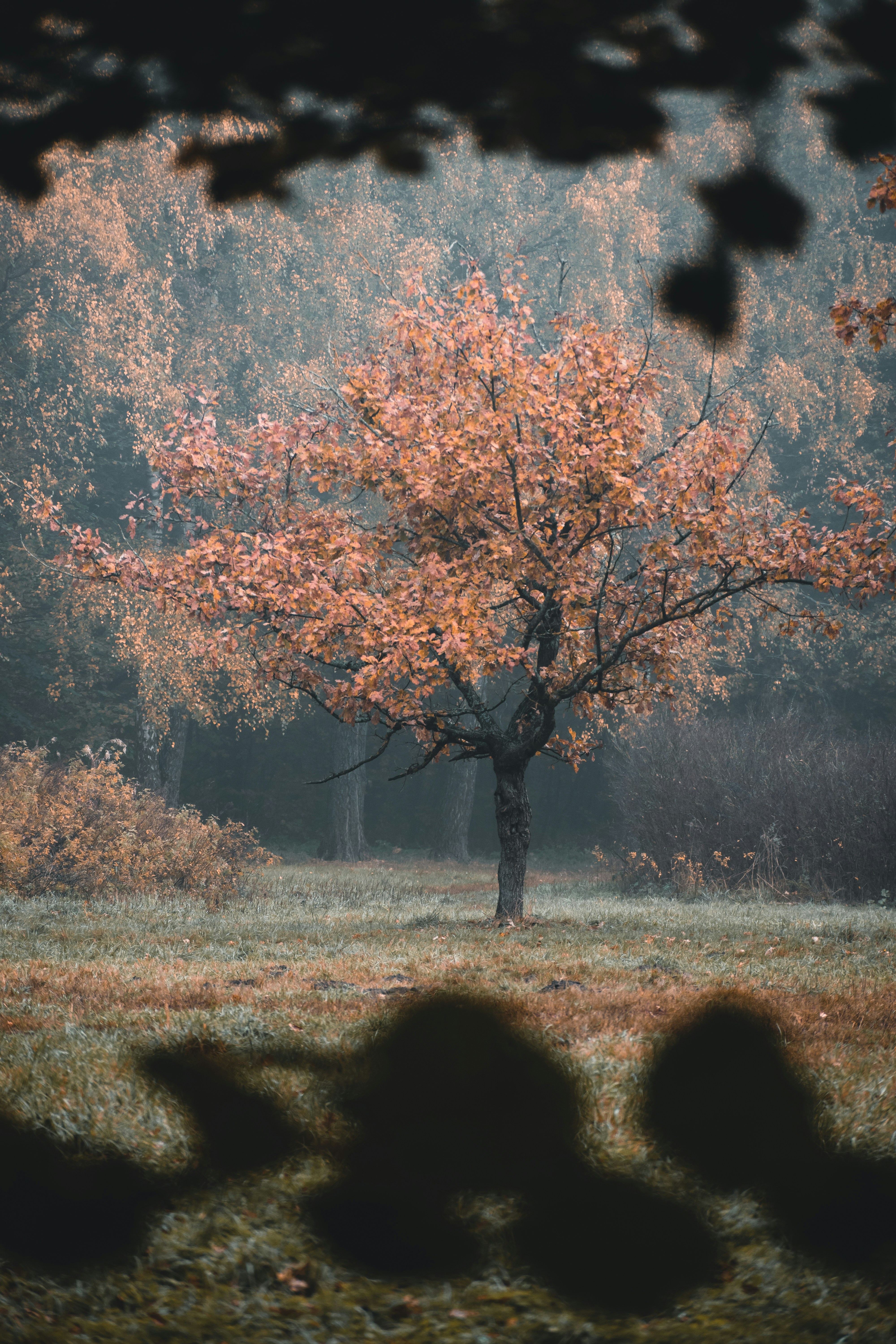 Photo by christina_kozak