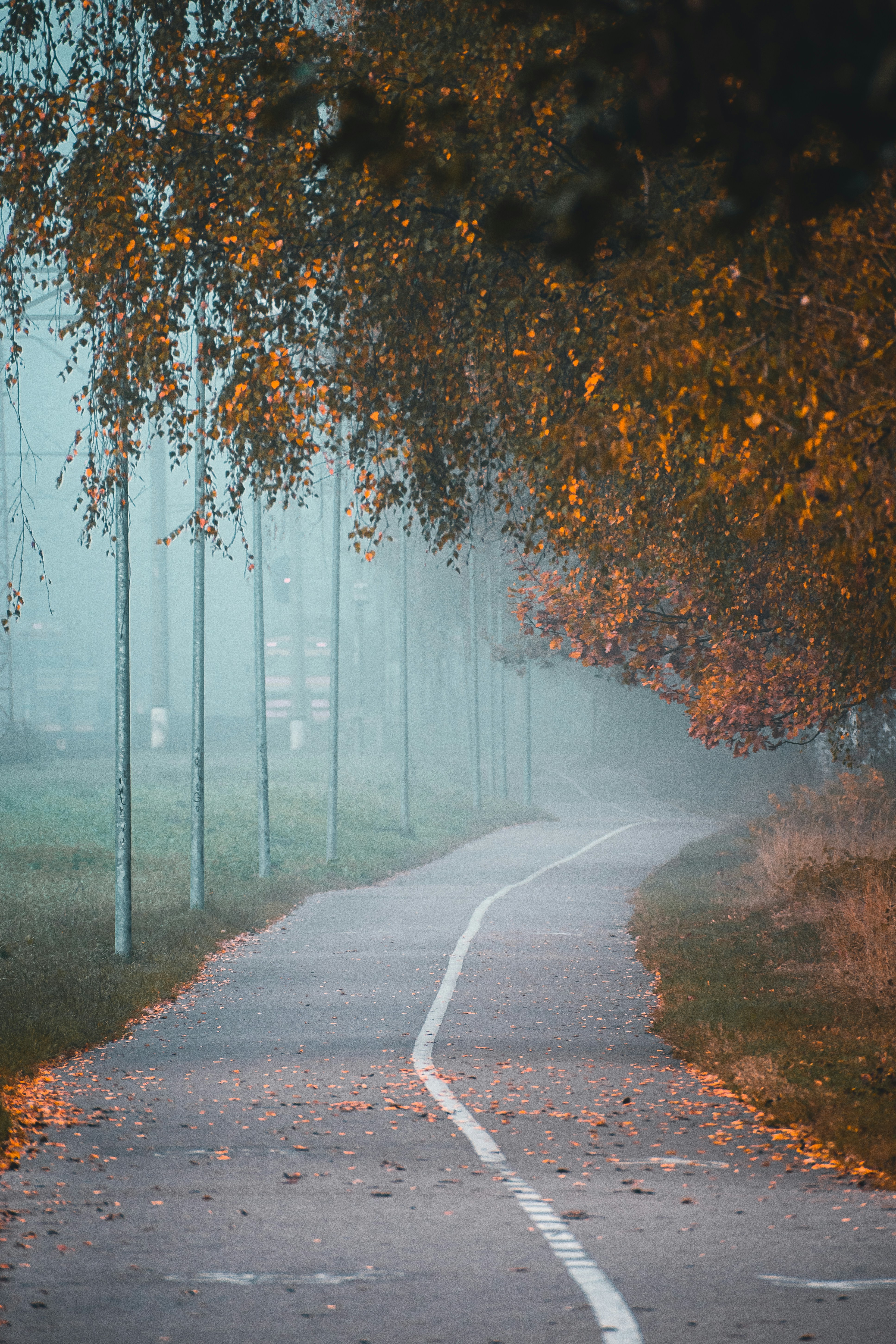 Photo by christina_kozak