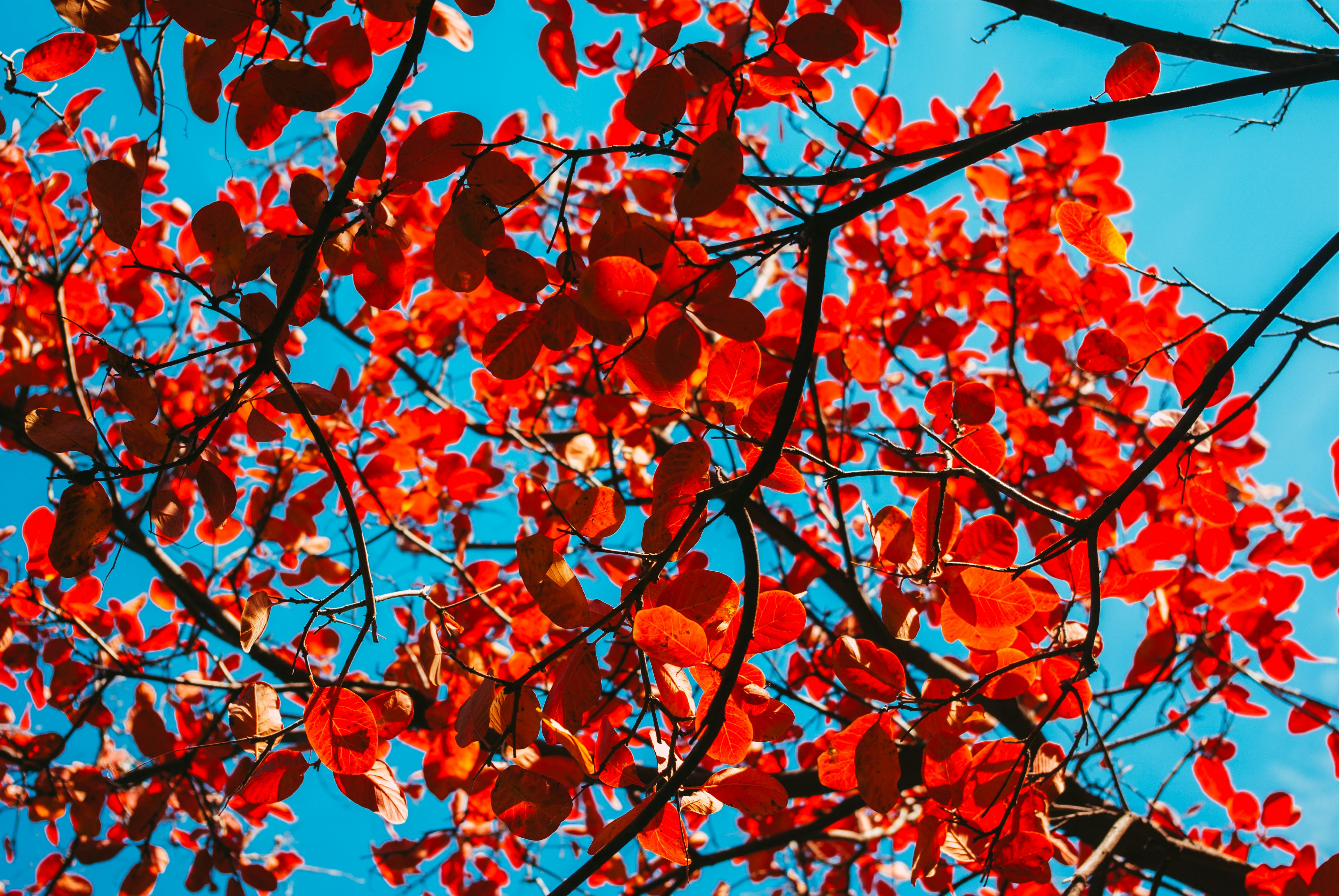 Photo by moonmoons_days