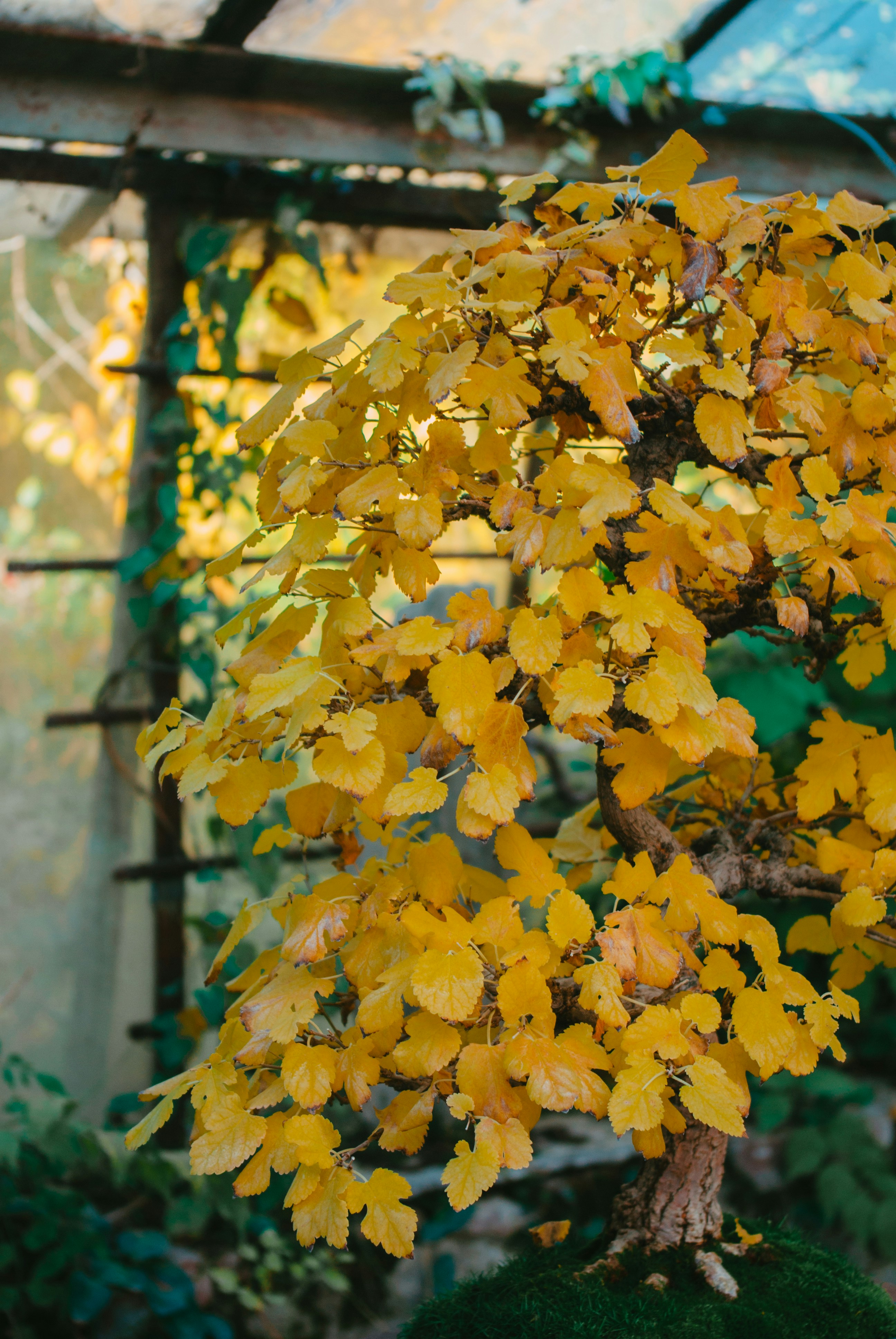 Photo by moonmoons_days