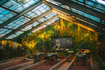 A rustic greenhouse filled with sunlight illuminating creeping vines on the walls. The room has several tables with chairs, small plants, and gardening tools. A blackboard in the center features some chalk writing and drawings, adding to the cozy, educational atmosphere. Overhead, the glass roof allows more light to filter in.