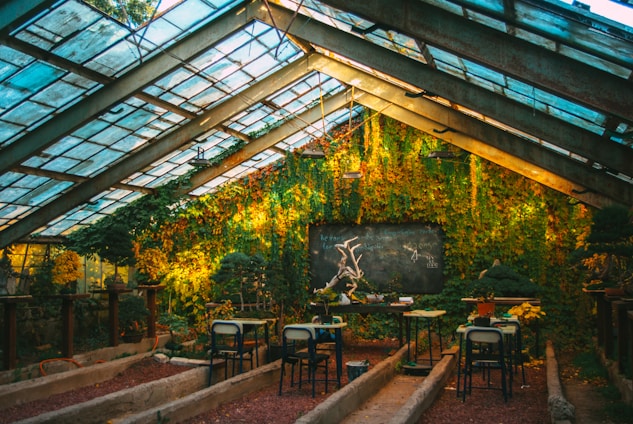 A rustic greenhouse filled with sunlight illuminating creeping vines on the walls. The room has several tables with chairs, small plants, and gardening tools. A blackboard in the center features some chalk writing and drawings, adding to the cozy, educational atmosphere. Overhead, the glass roof allows more light to filter in.