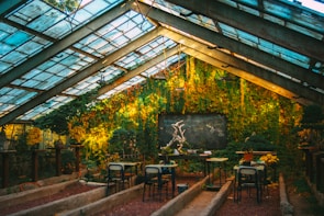 A rustic greenhouse filled with sunlight illuminating creeping vines on the walls. The room has several tables with chairs, small plants, and gardening tools. A blackboard in the center features some chalk writing and drawings, adding to the cozy, educational atmosphere. Overhead, the glass roof allows more light to filter in.