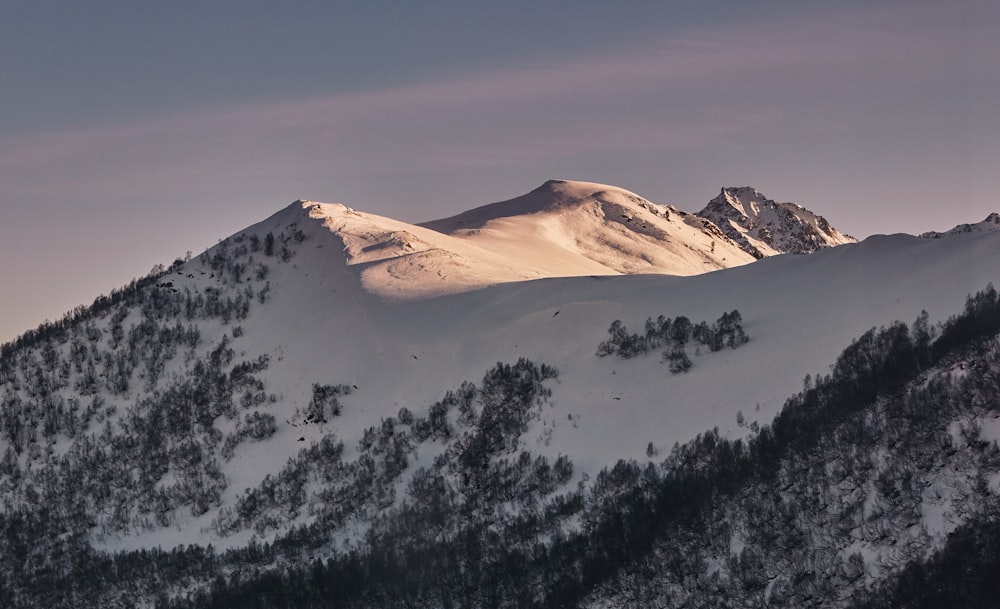 a snowy mountain with trees