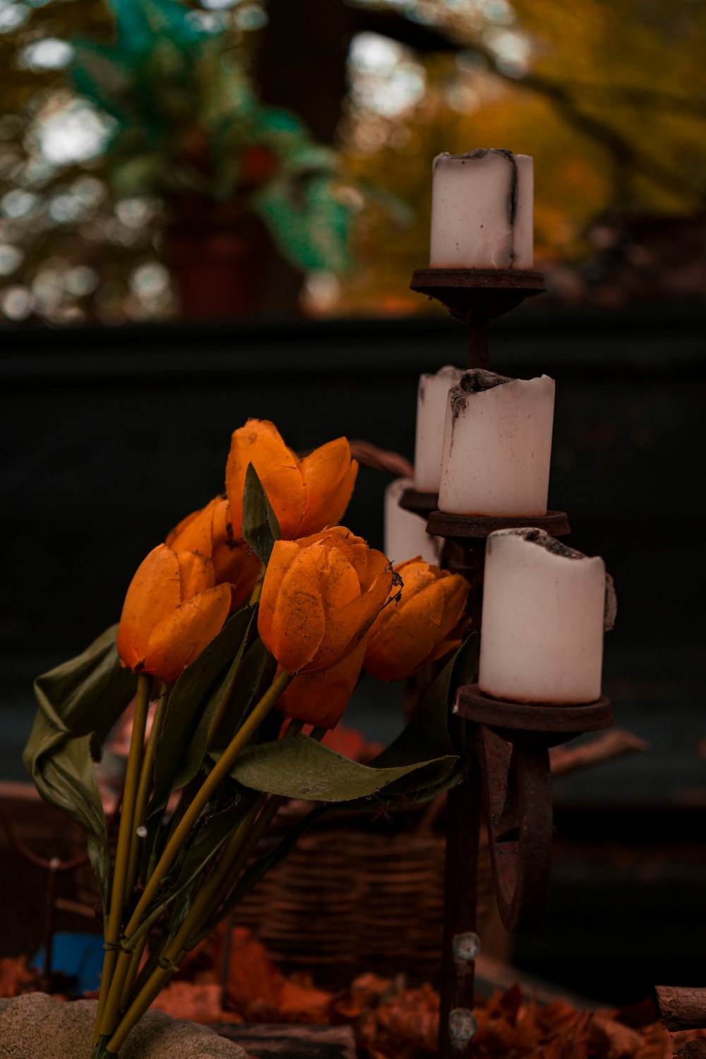 a candle on a flower