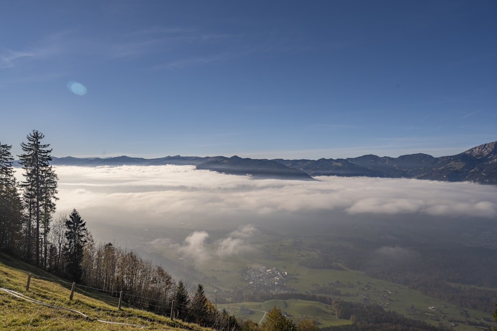 a foggy valley with trees and mountains in the background