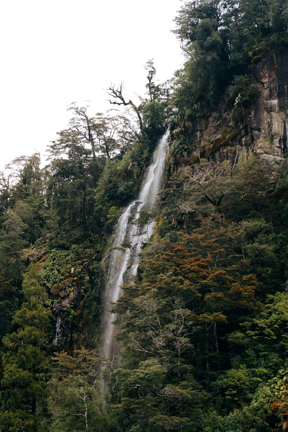 a waterfall in a forest