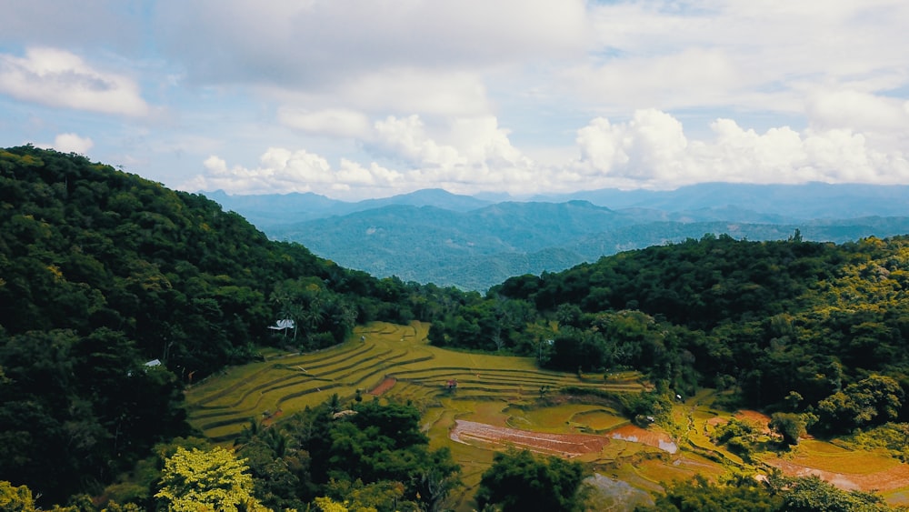 a landscape with trees and hills