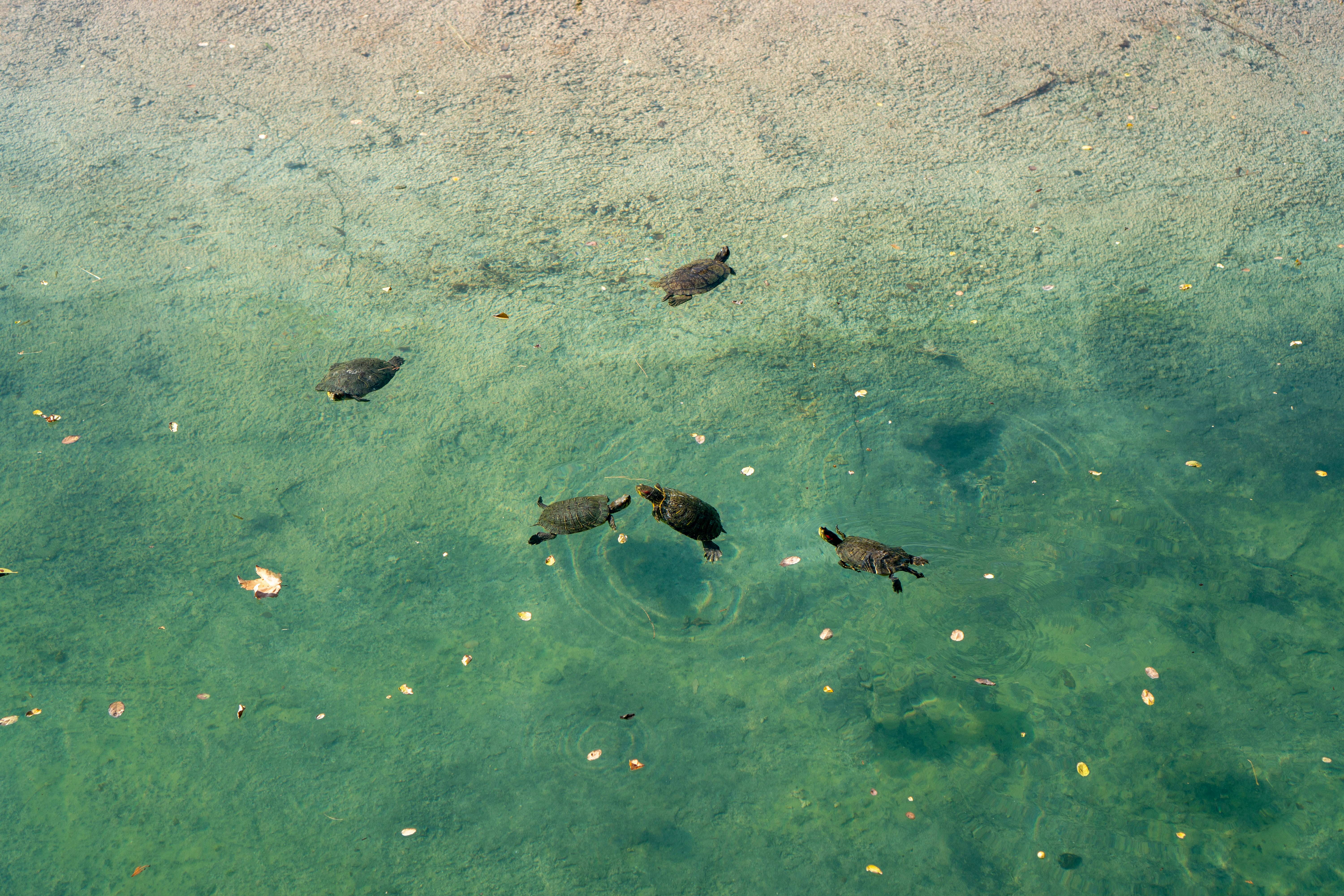 Photo by ulaskavuncuoglu