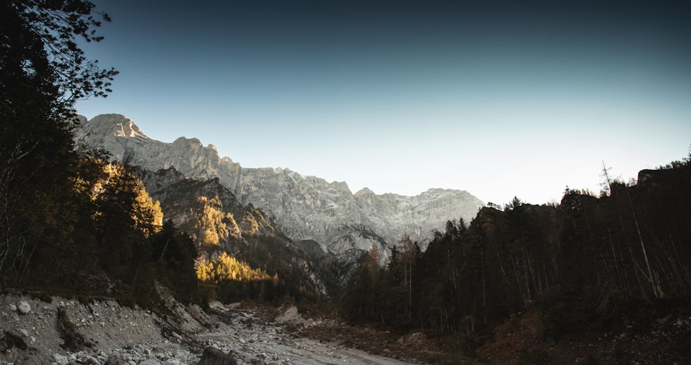 a snowy mountain range