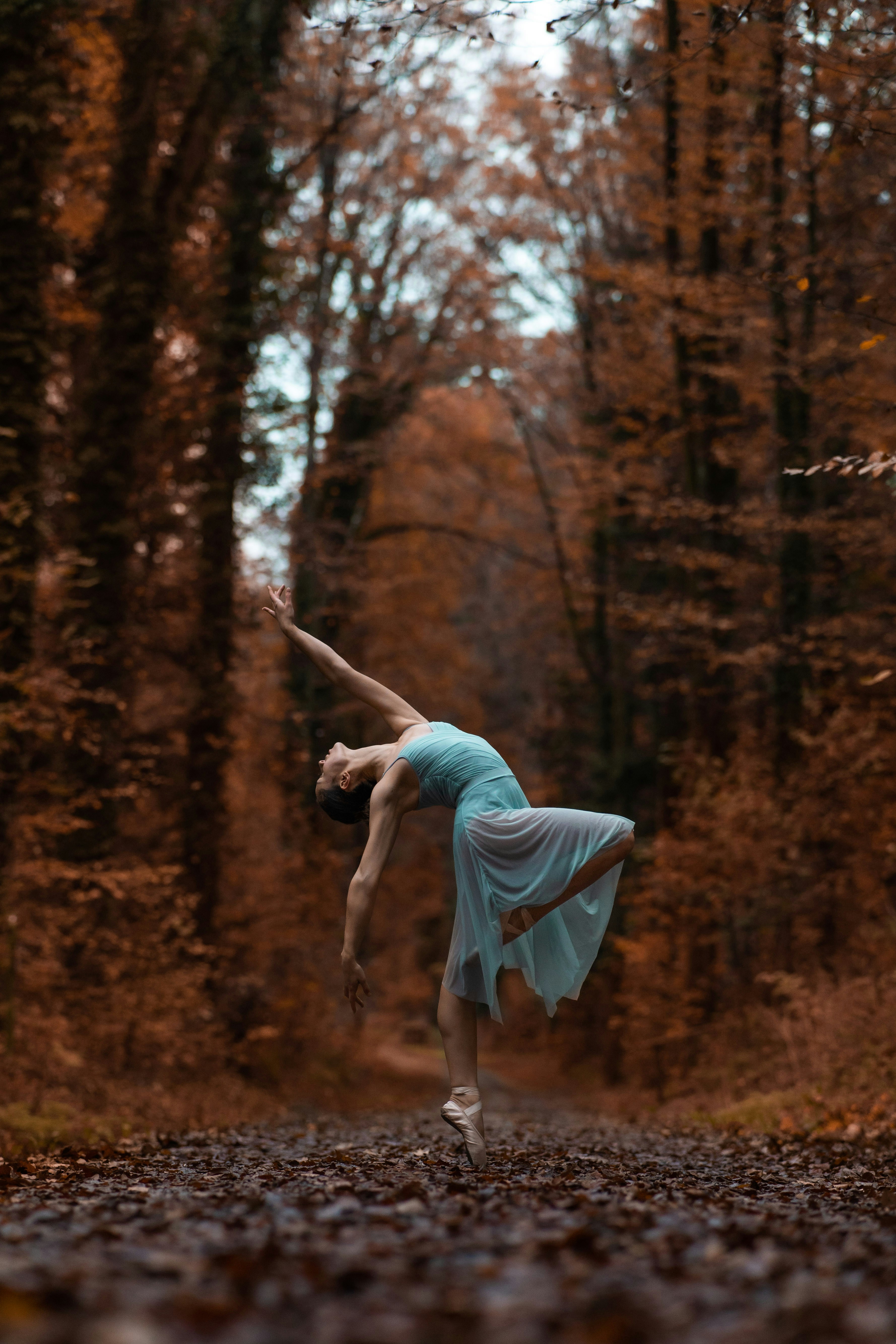 Photo by kajtek