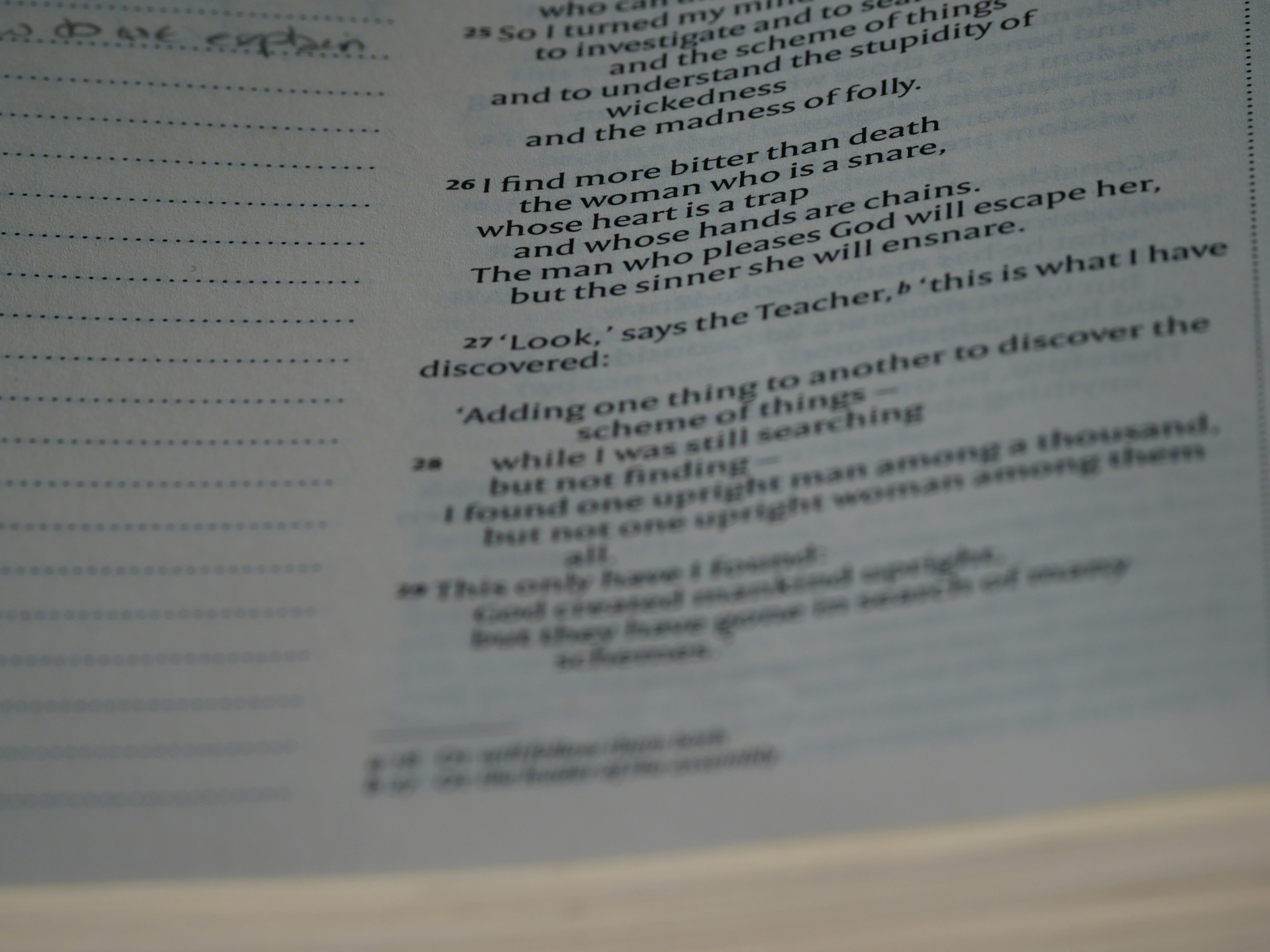 Photo by brett_jordan