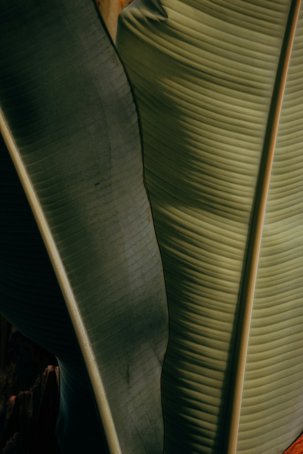 a close up of a green and white striped fabric