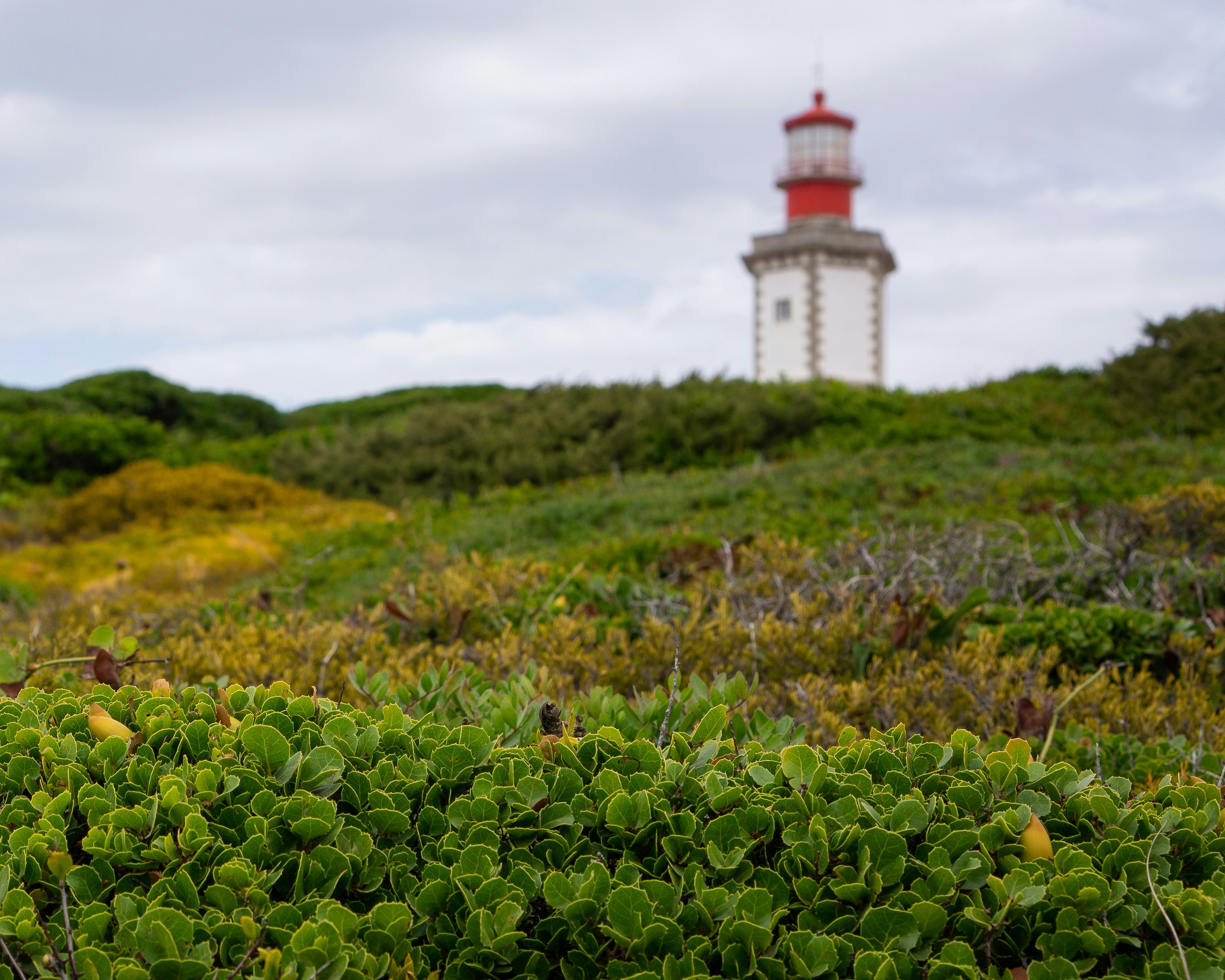 Photo by akinrainbow