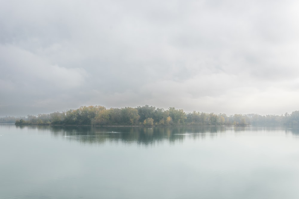 a body of water with trees in the background