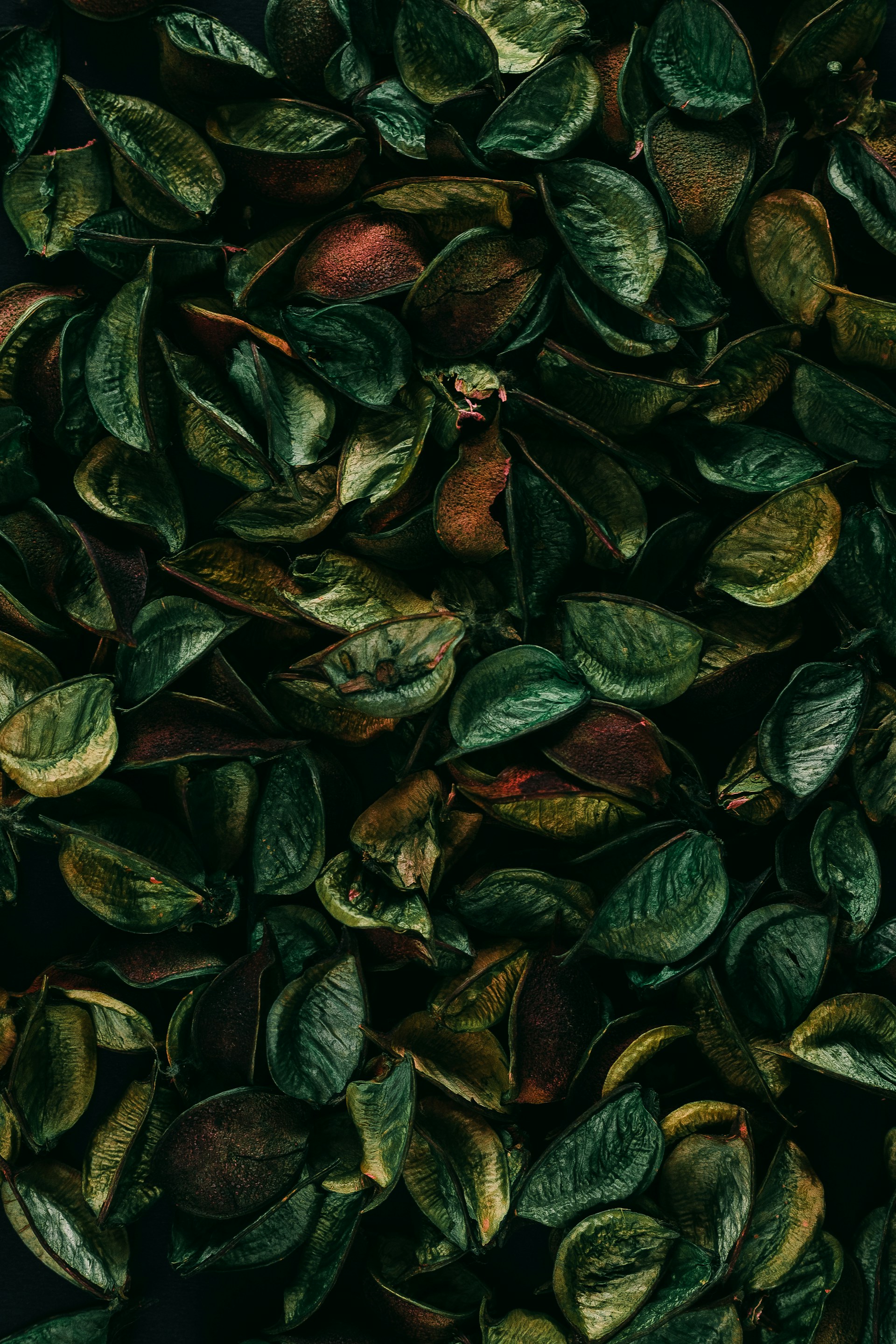 background pattern