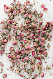 a white surface with pink flowers