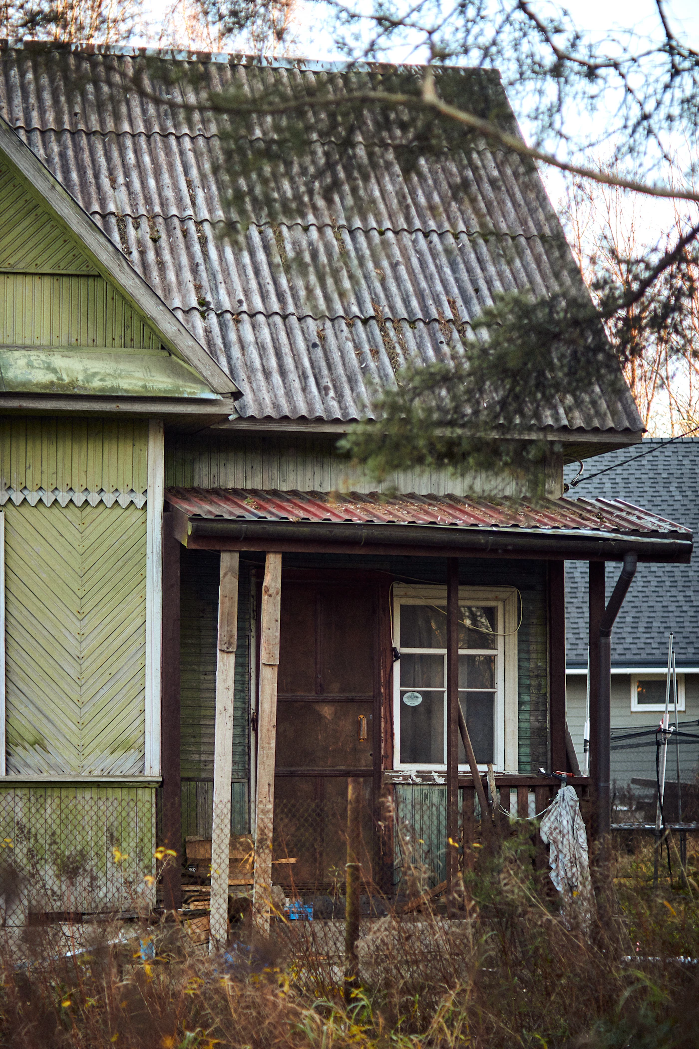Tree branches pressing against the roof of a rural house