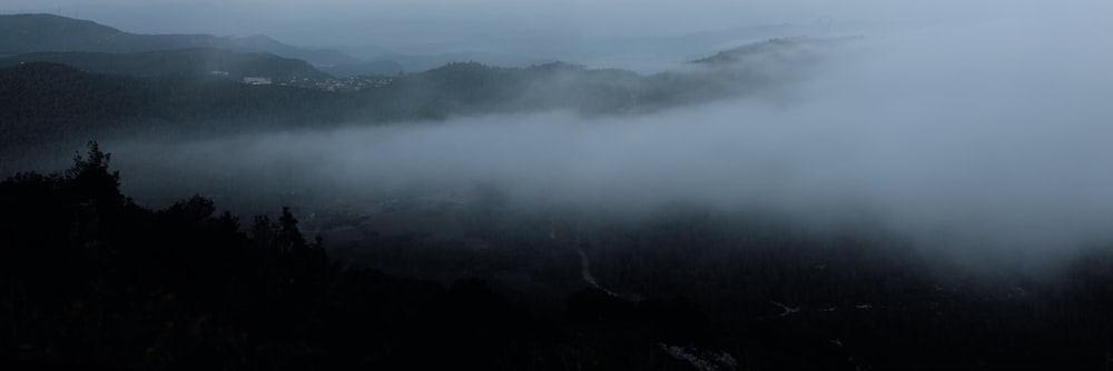 a foggy valley with trees