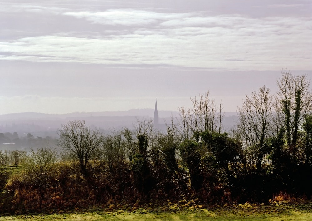 a tall tower in the distance