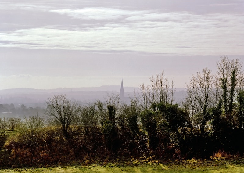 SpeedQuizzing at 256 Wilmslow Road