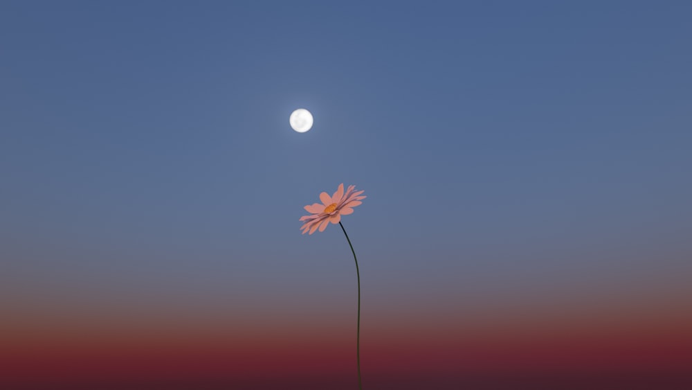 a flower with the moon in the background