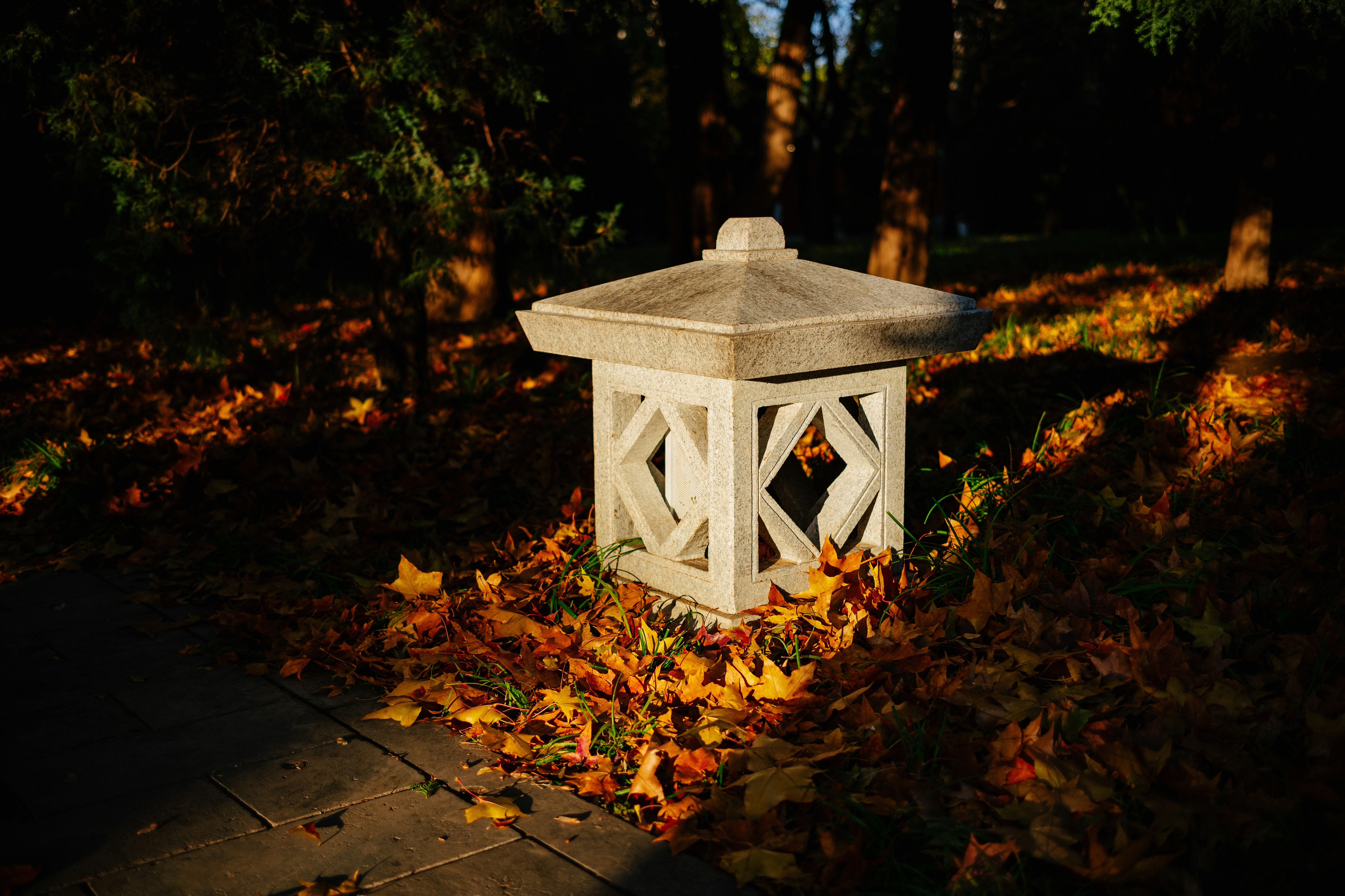 Photo by tommaomaoer