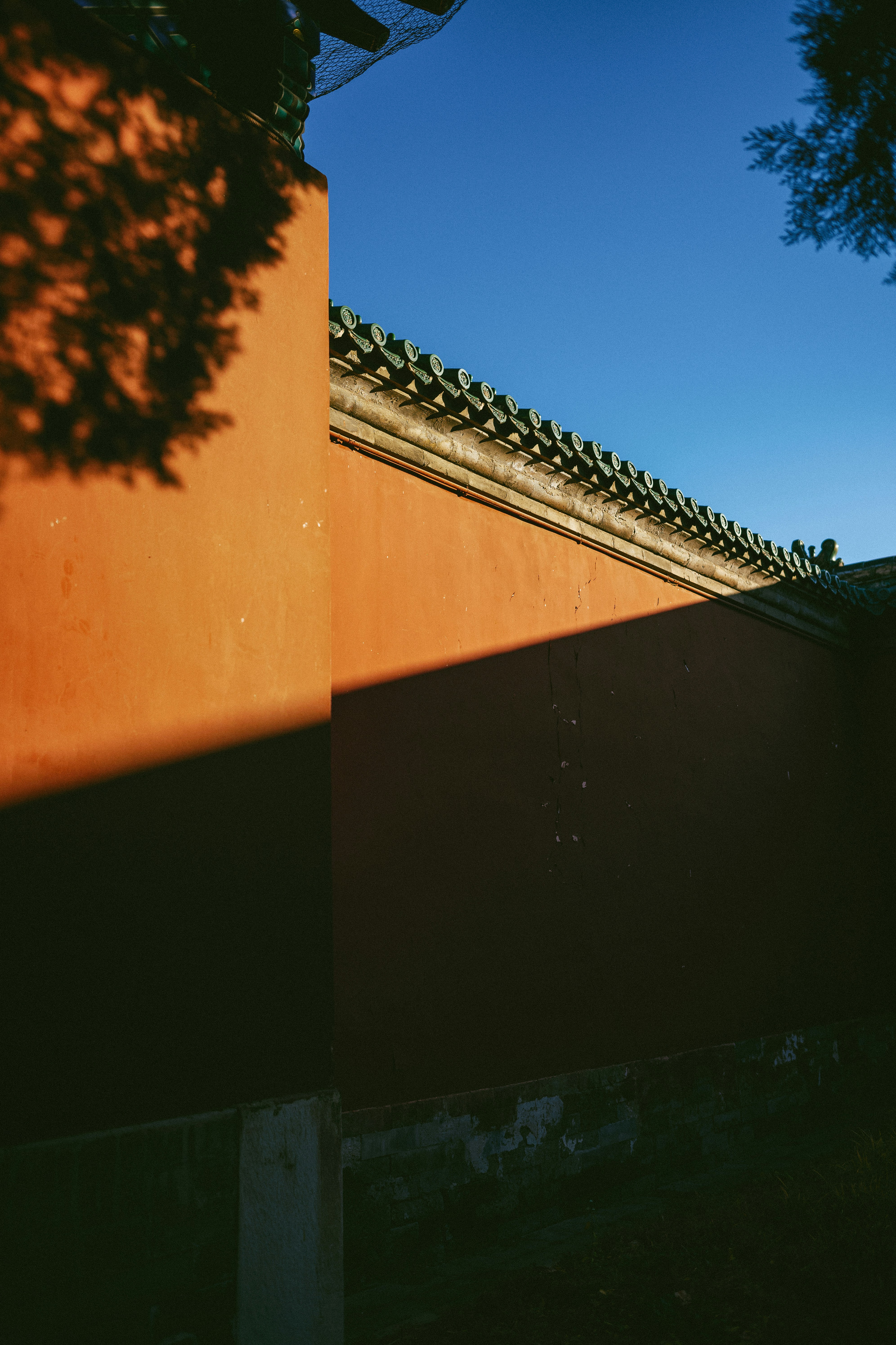 Photo by tommaomaoer