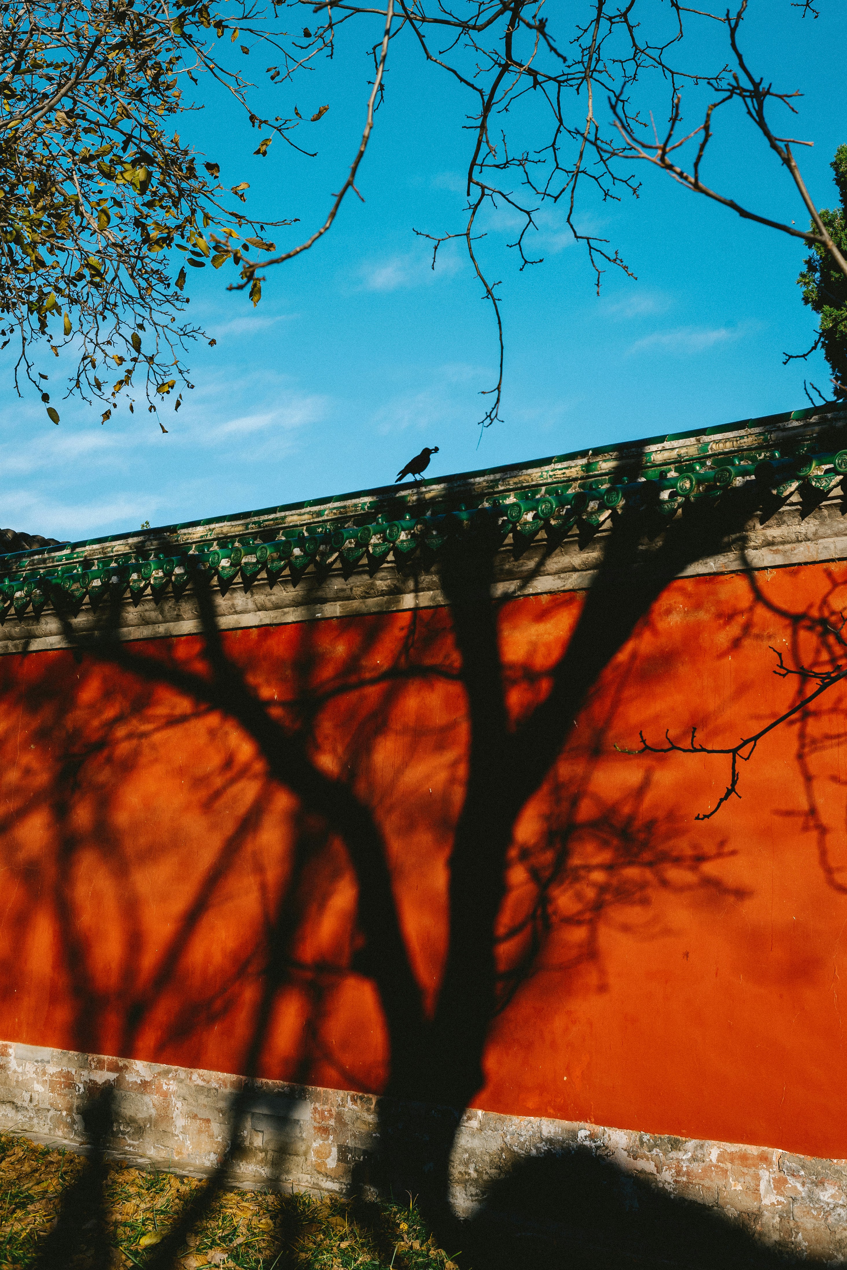 Photo by tommaomaoer