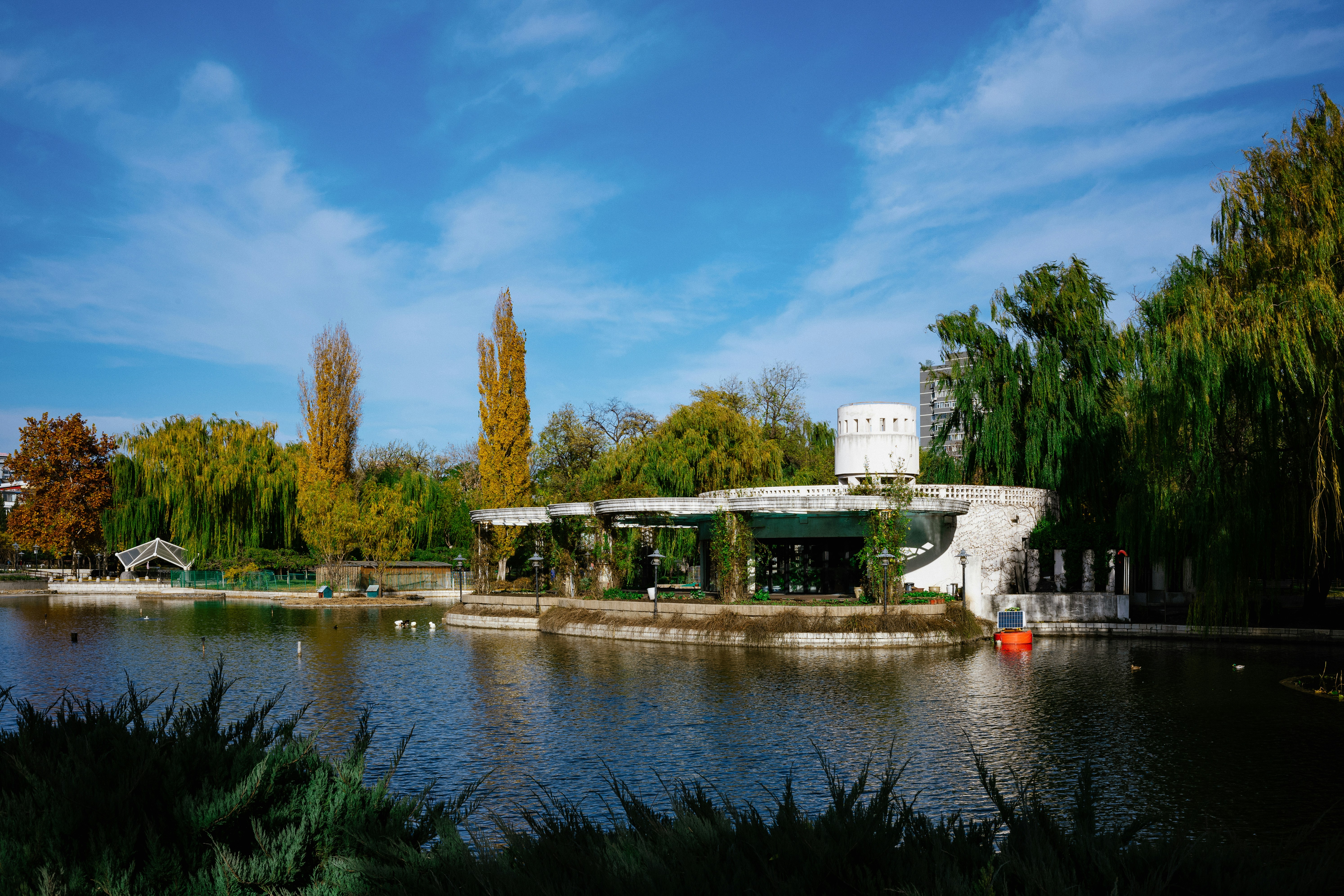 Photo by tommaomaoer