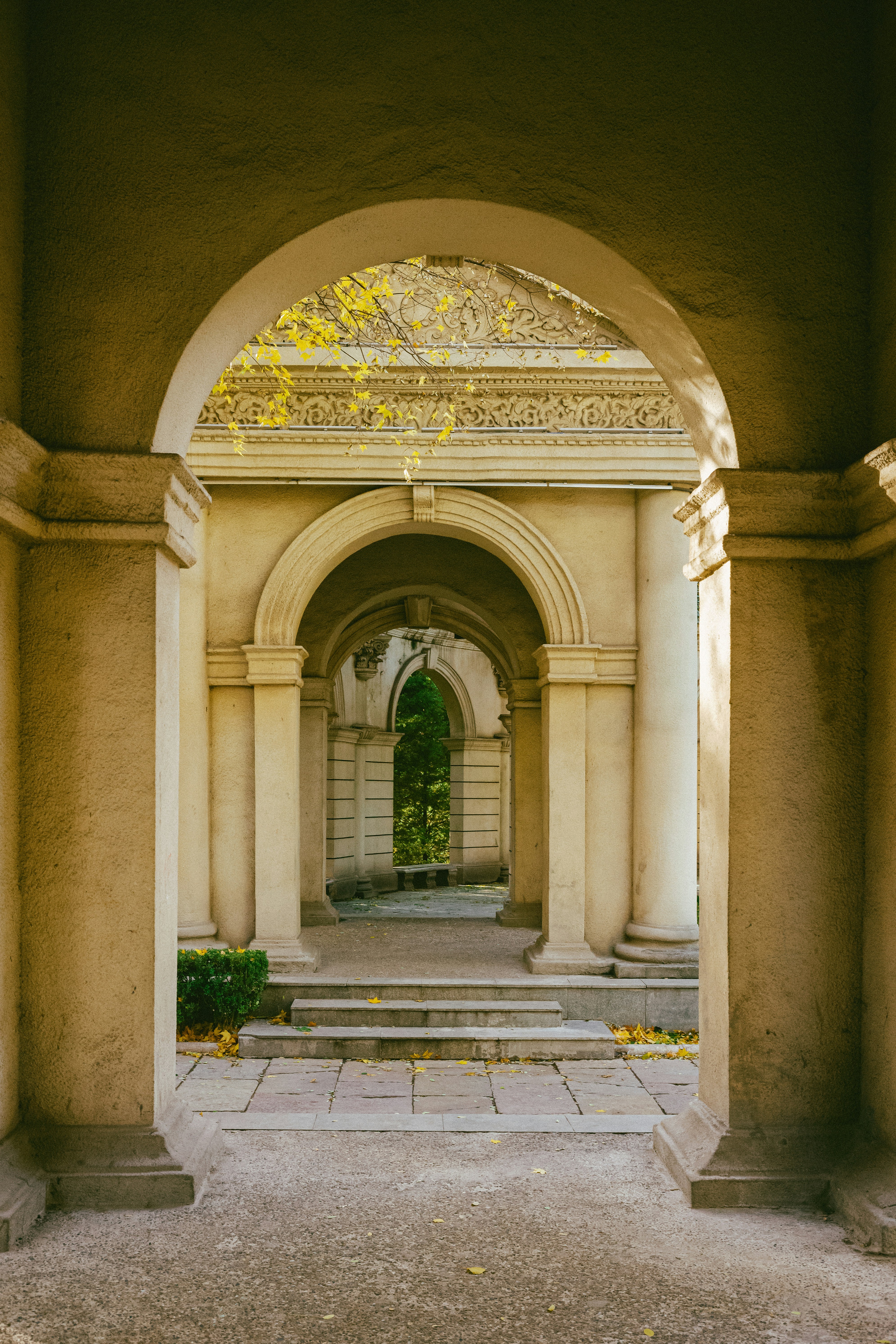 Photo by tommaomaoer