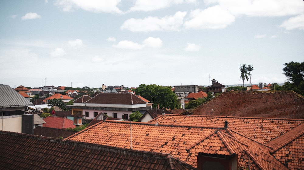 a group of rooftops with trees and blue sky