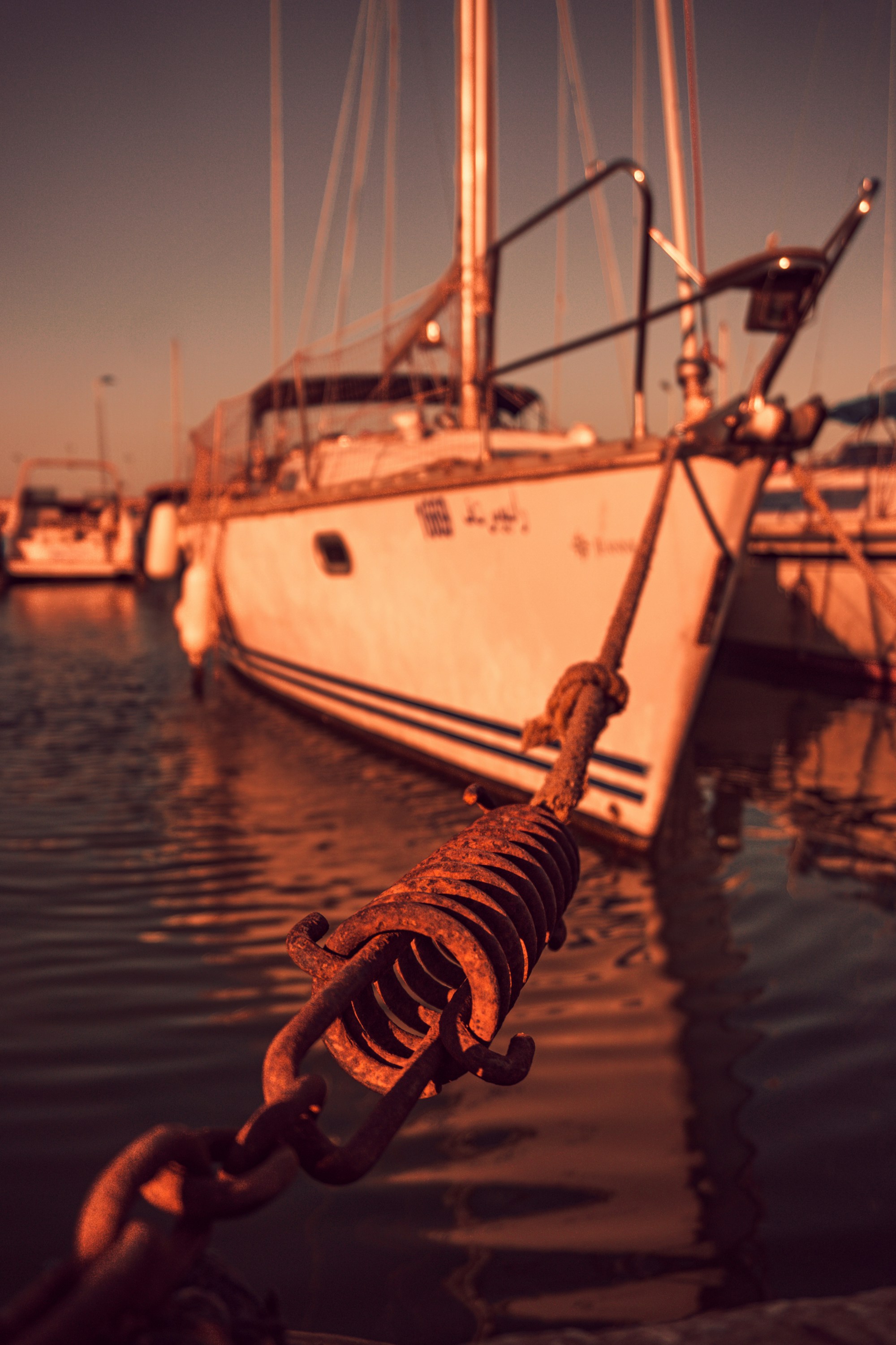 Photo by ayoubvision