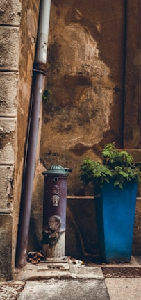 An outdoor water pump installed in a garden setting.