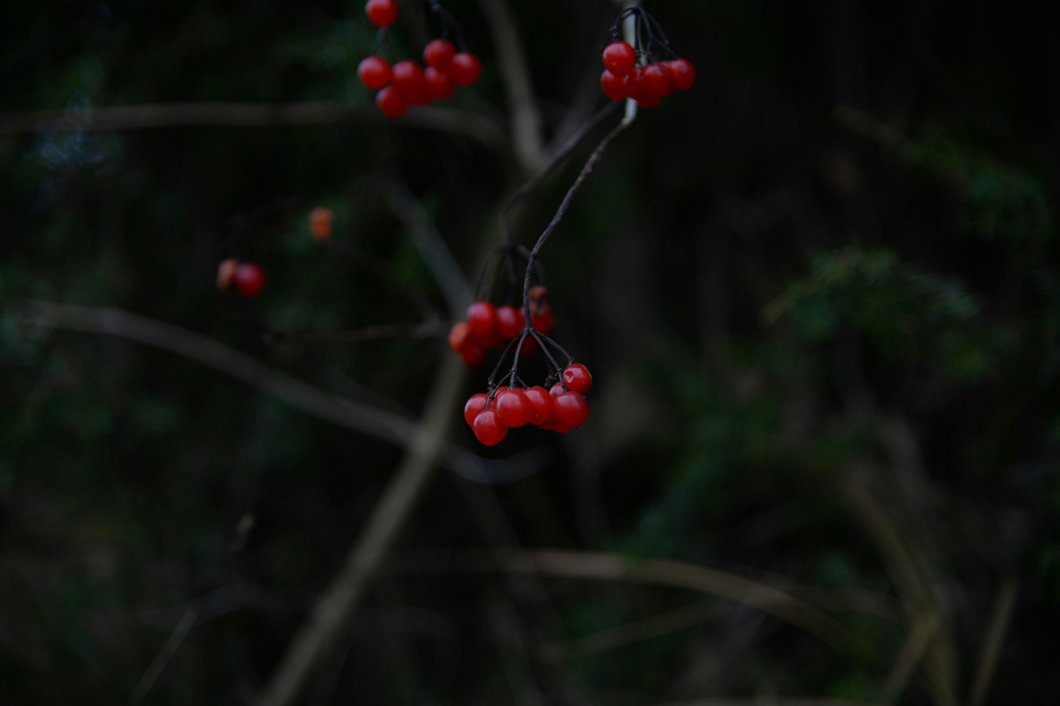 Photo by emilijabart