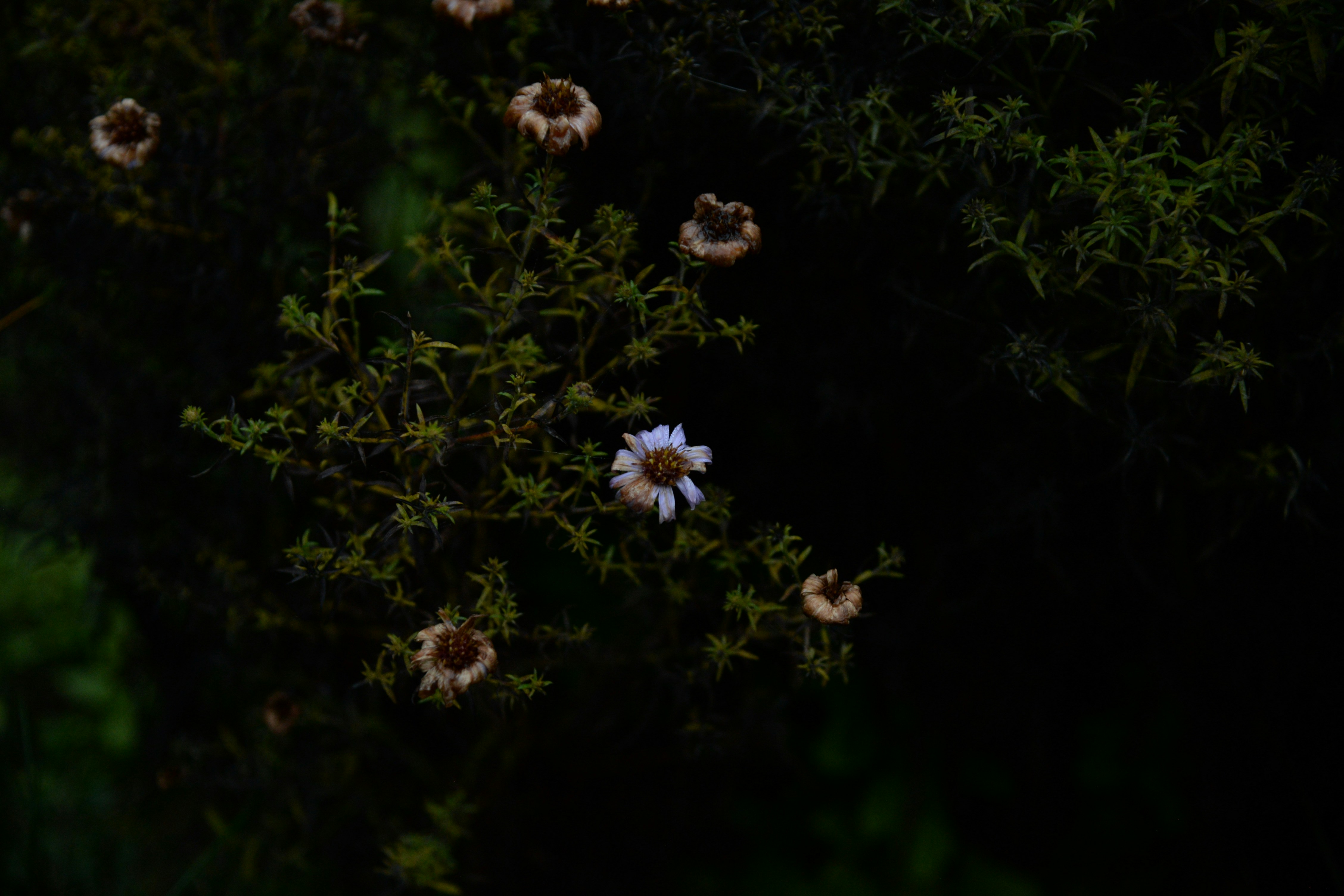 Photo by emilijabart