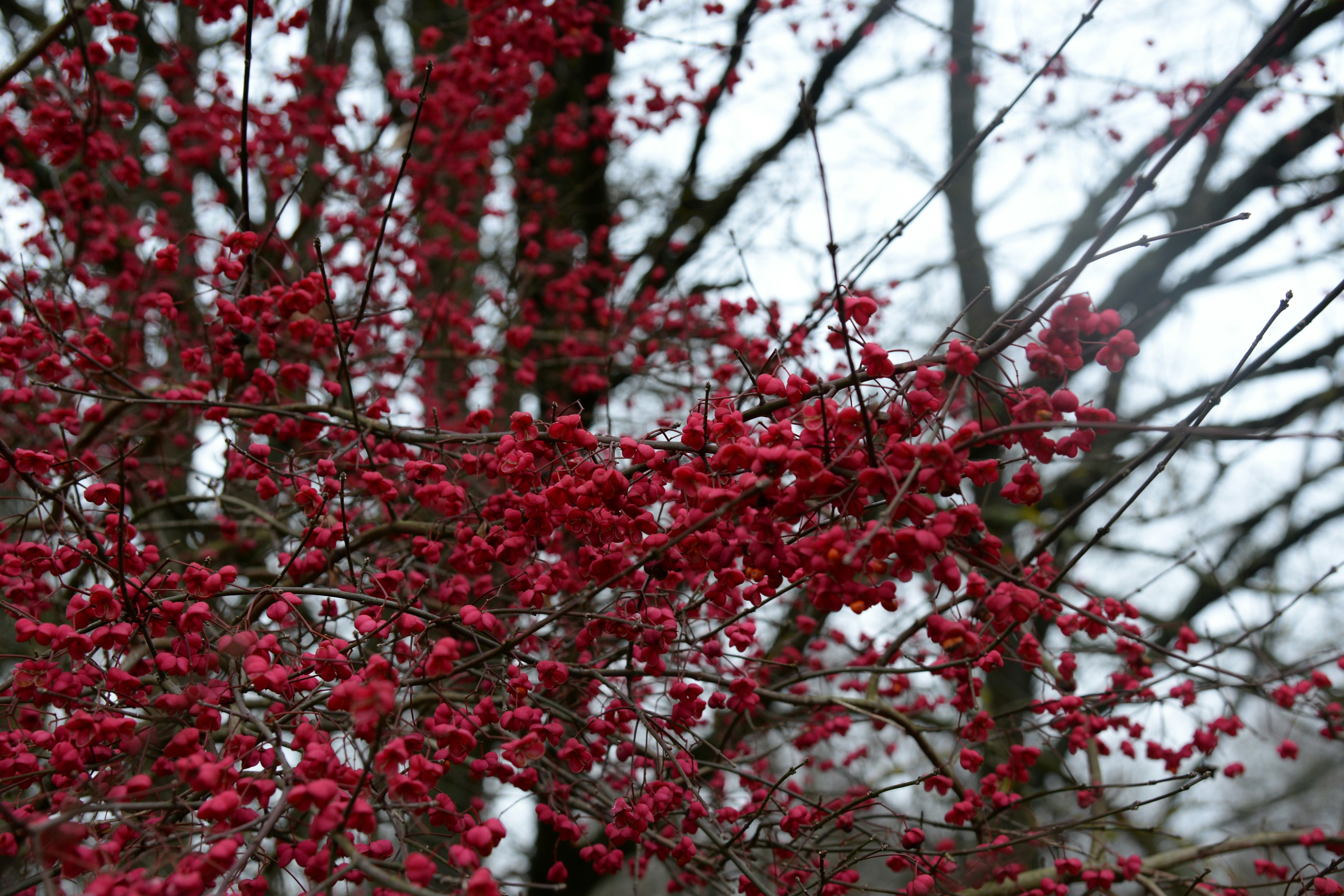 Photo by emilijabart