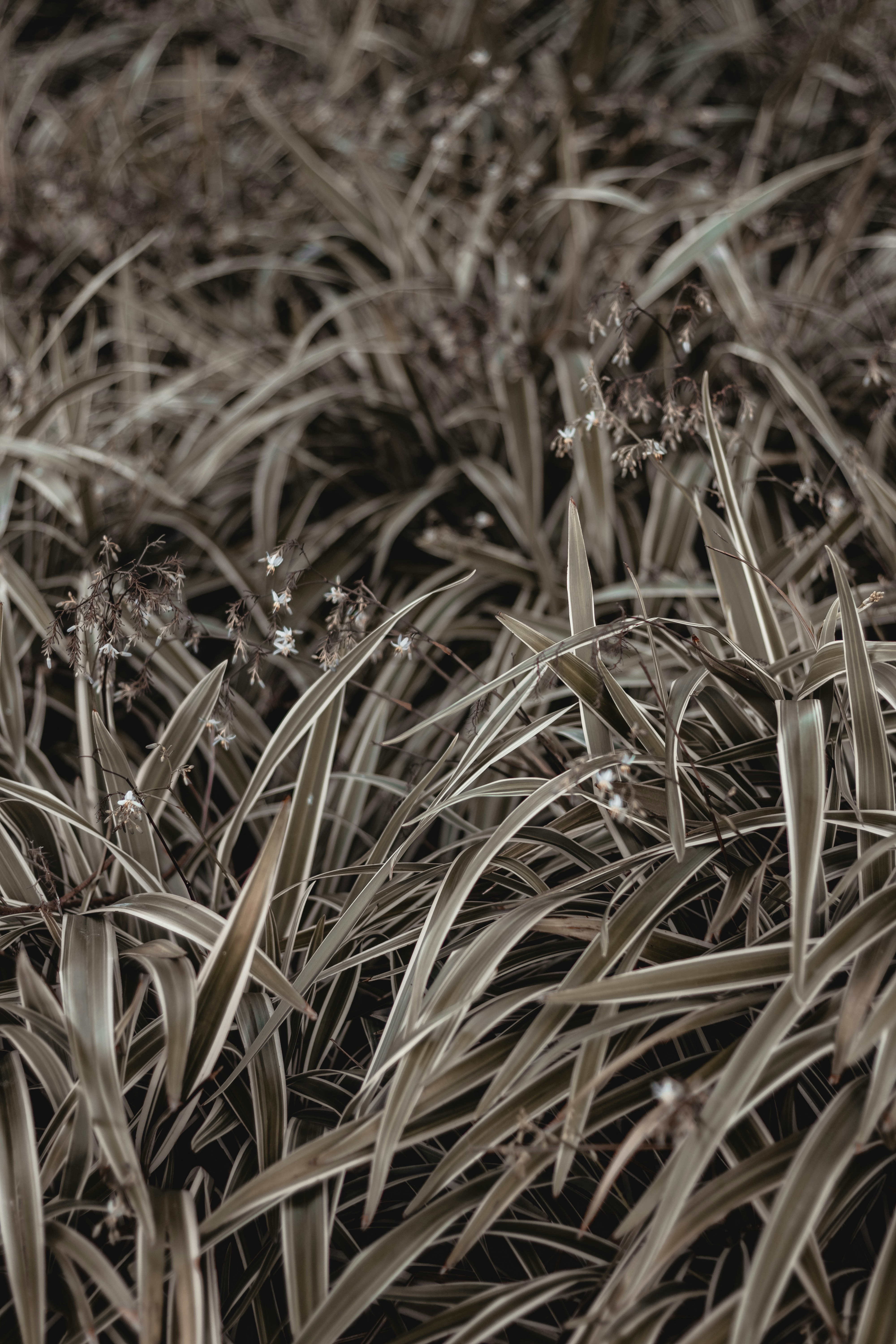 Photo by kawerodriguess