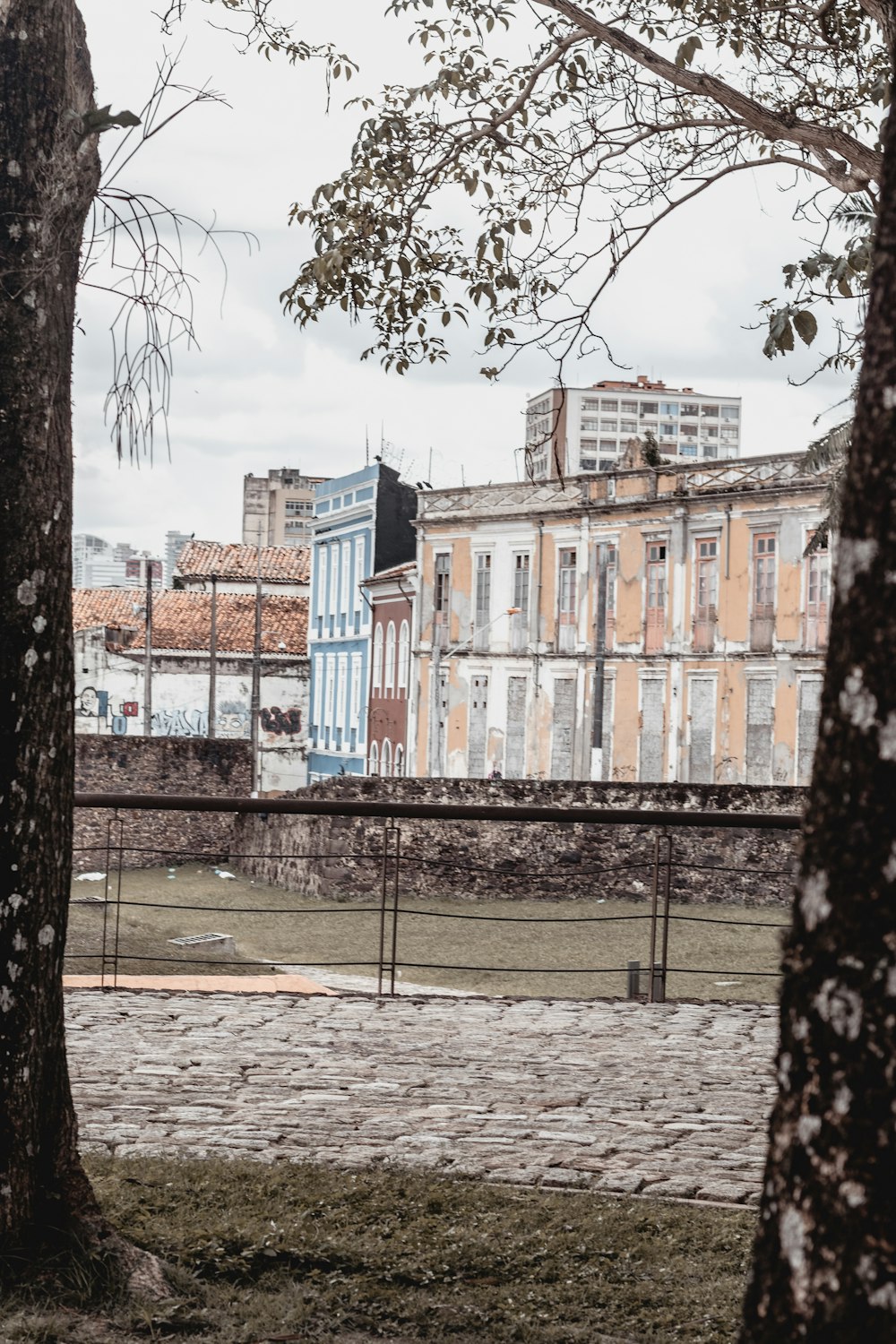 a tree next to a building