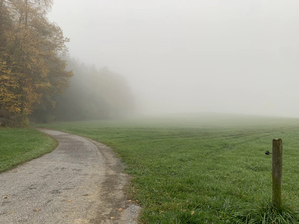 A winding pathway through the foggy landscape of the NA Farmhouse project
