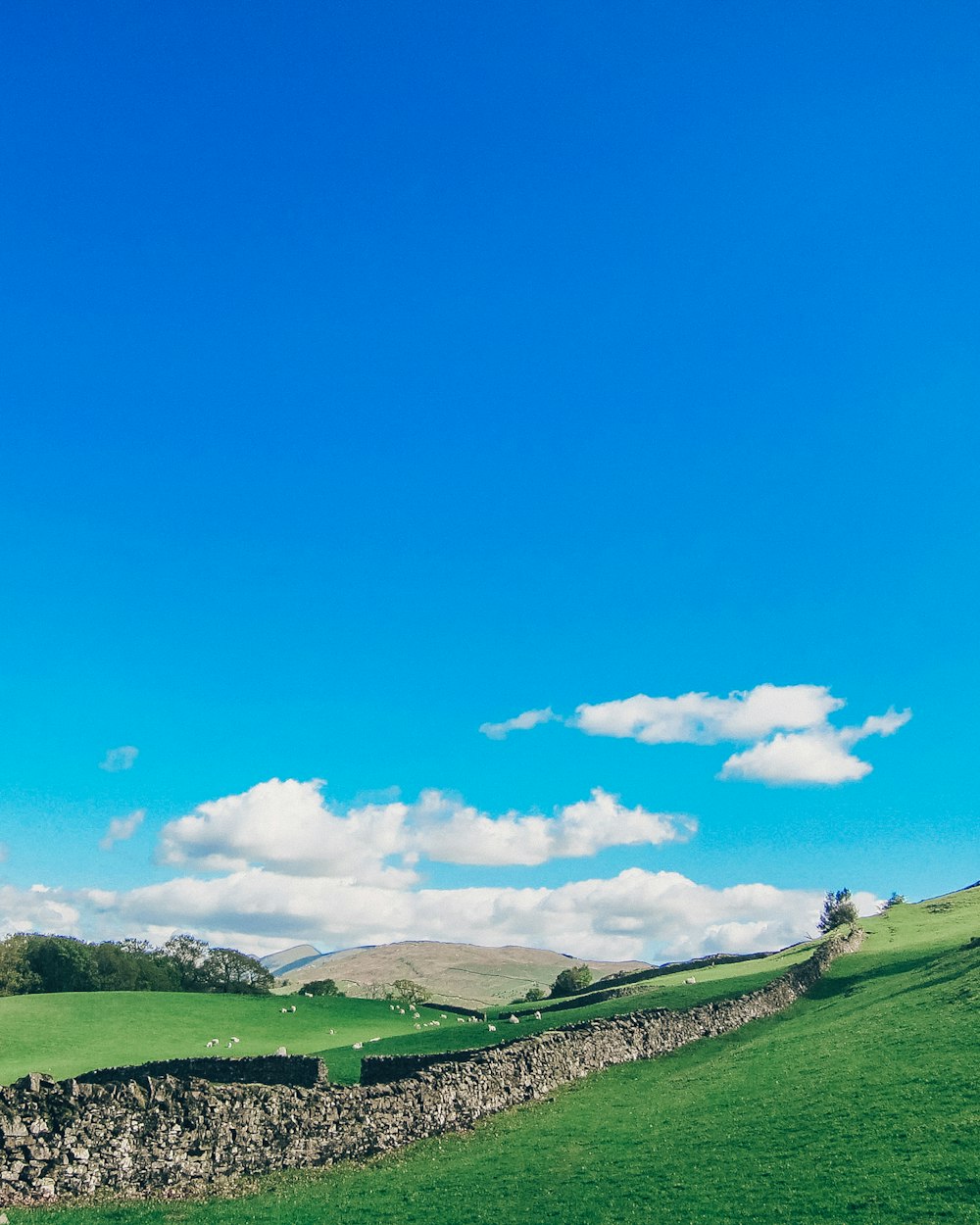 a stone wall and grass