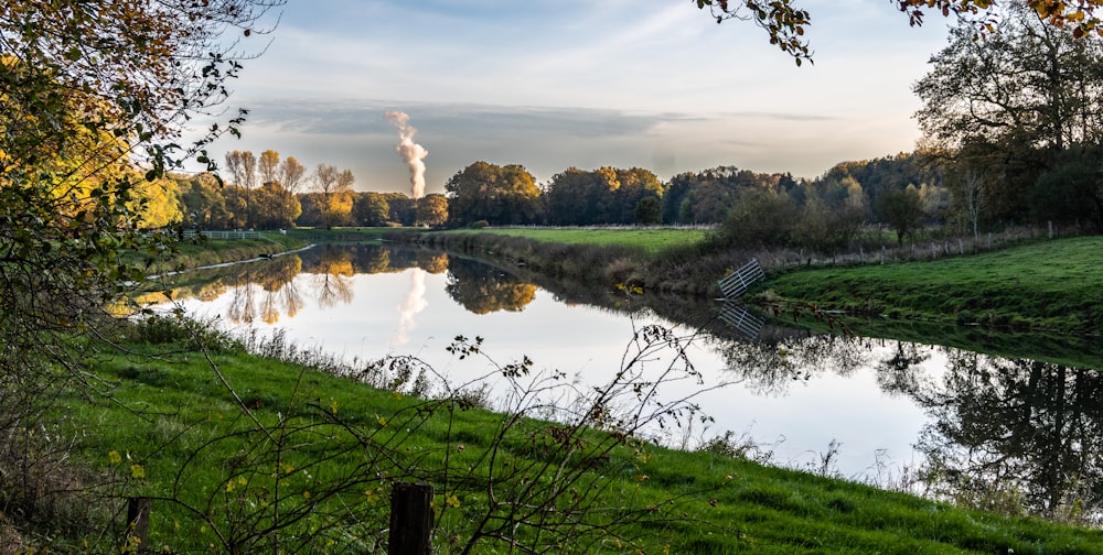 a body of water with grass and trees around it