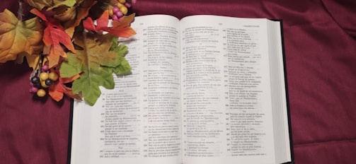 An open book with text in what appears to be a non-English language lies on a red cloth. Decorative autumn leaves and berries are placed to the upper left of the book, adding a seasonal touch.