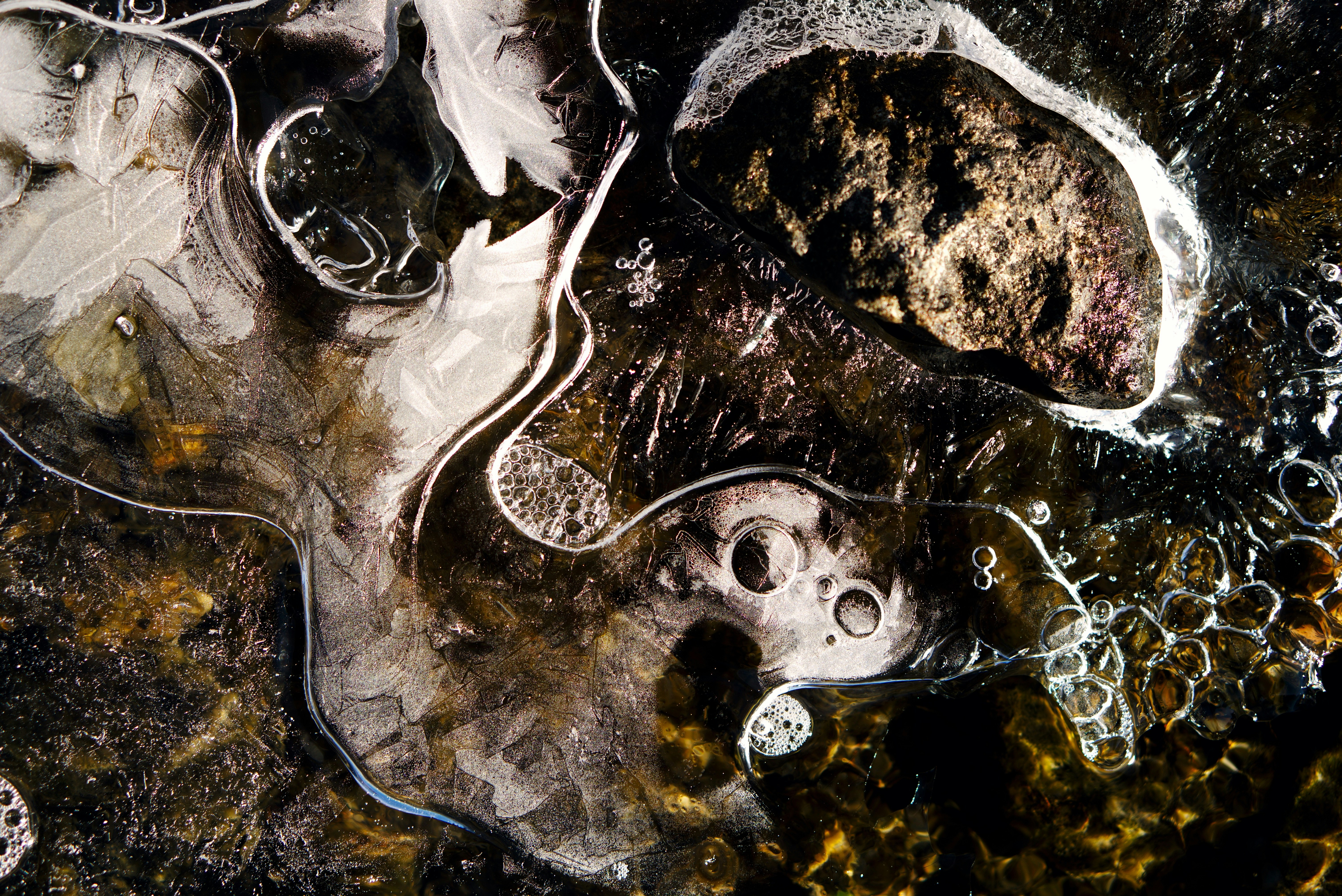 Photo by astashov_artem