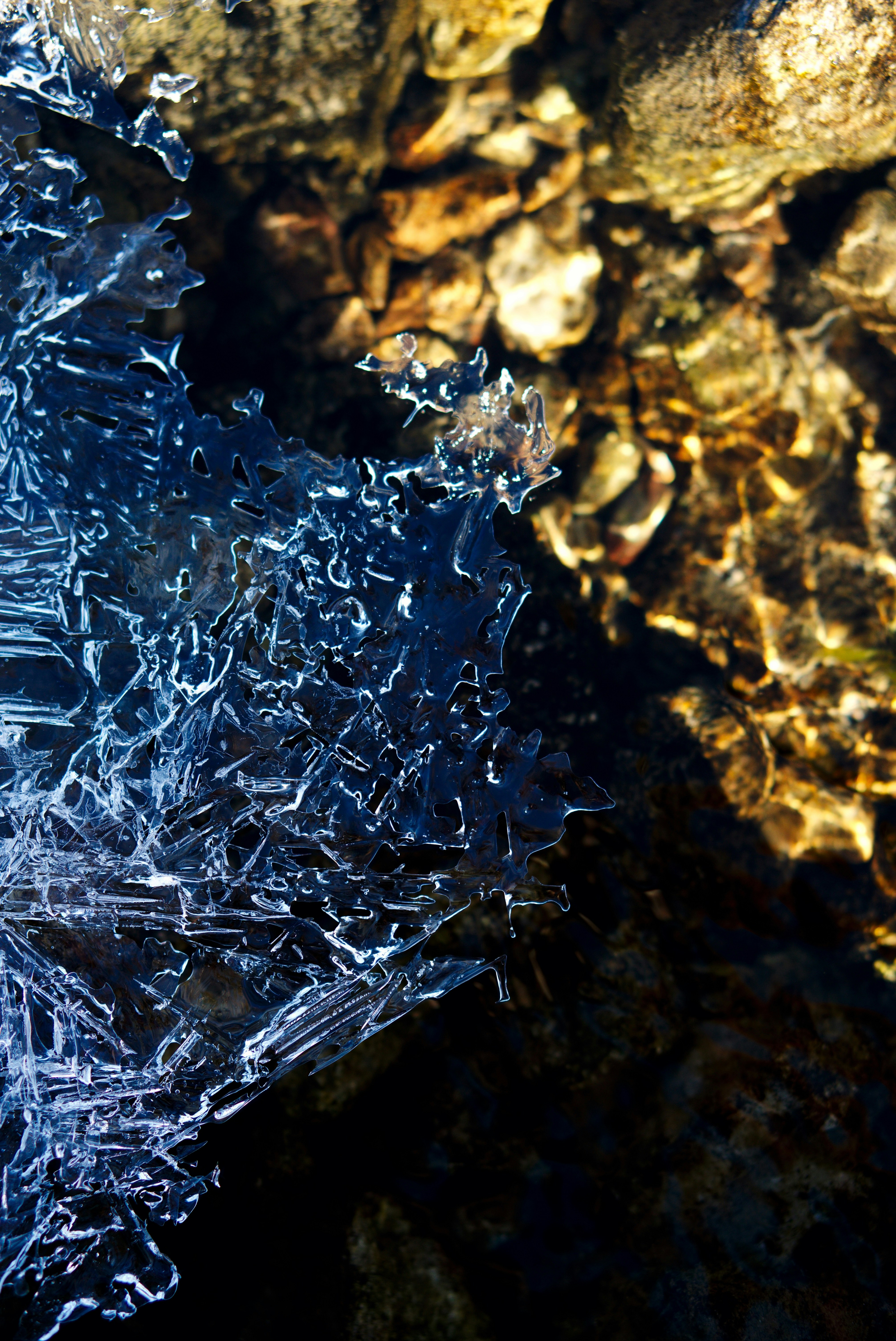 Photo by astashov_artem